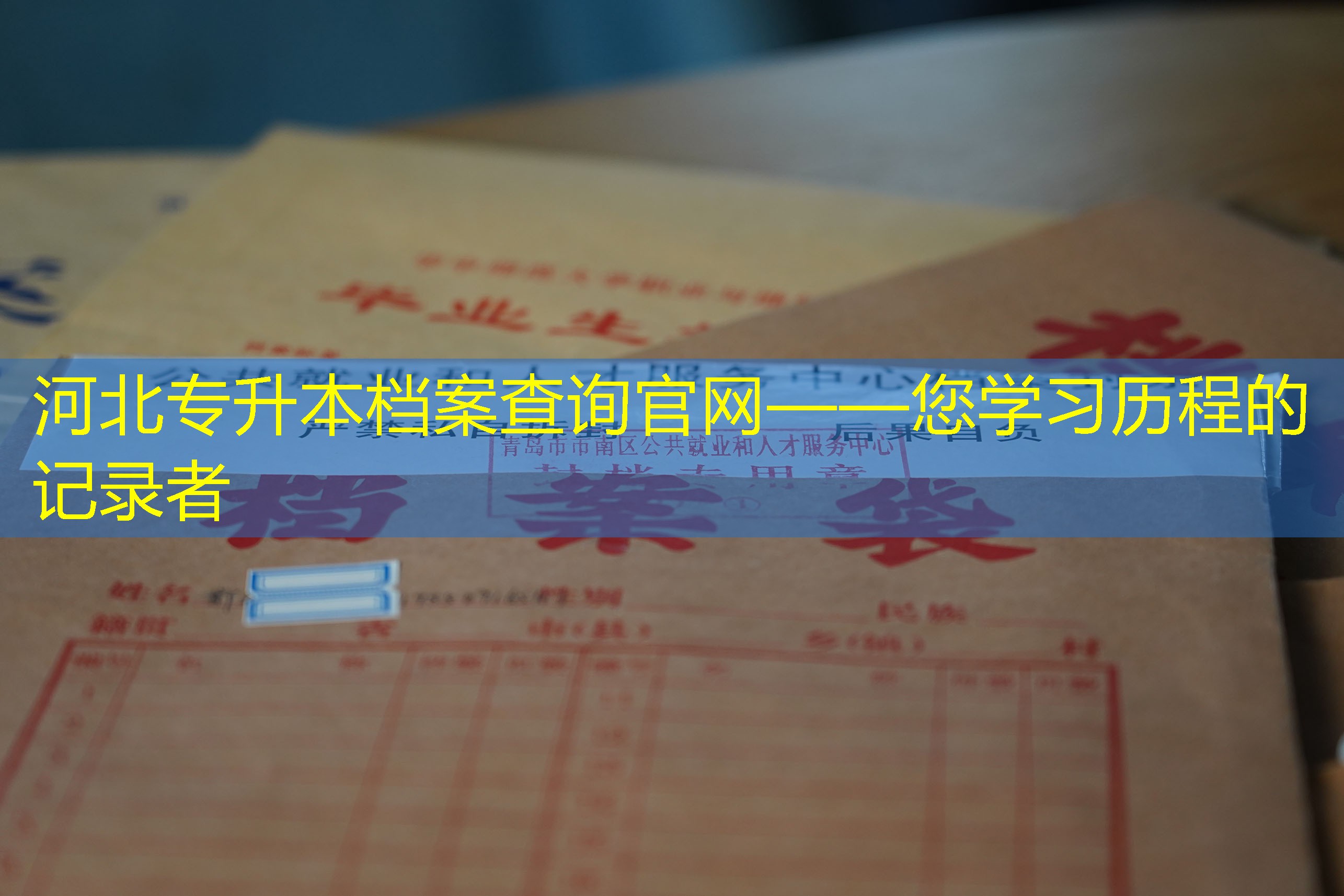 档案查询