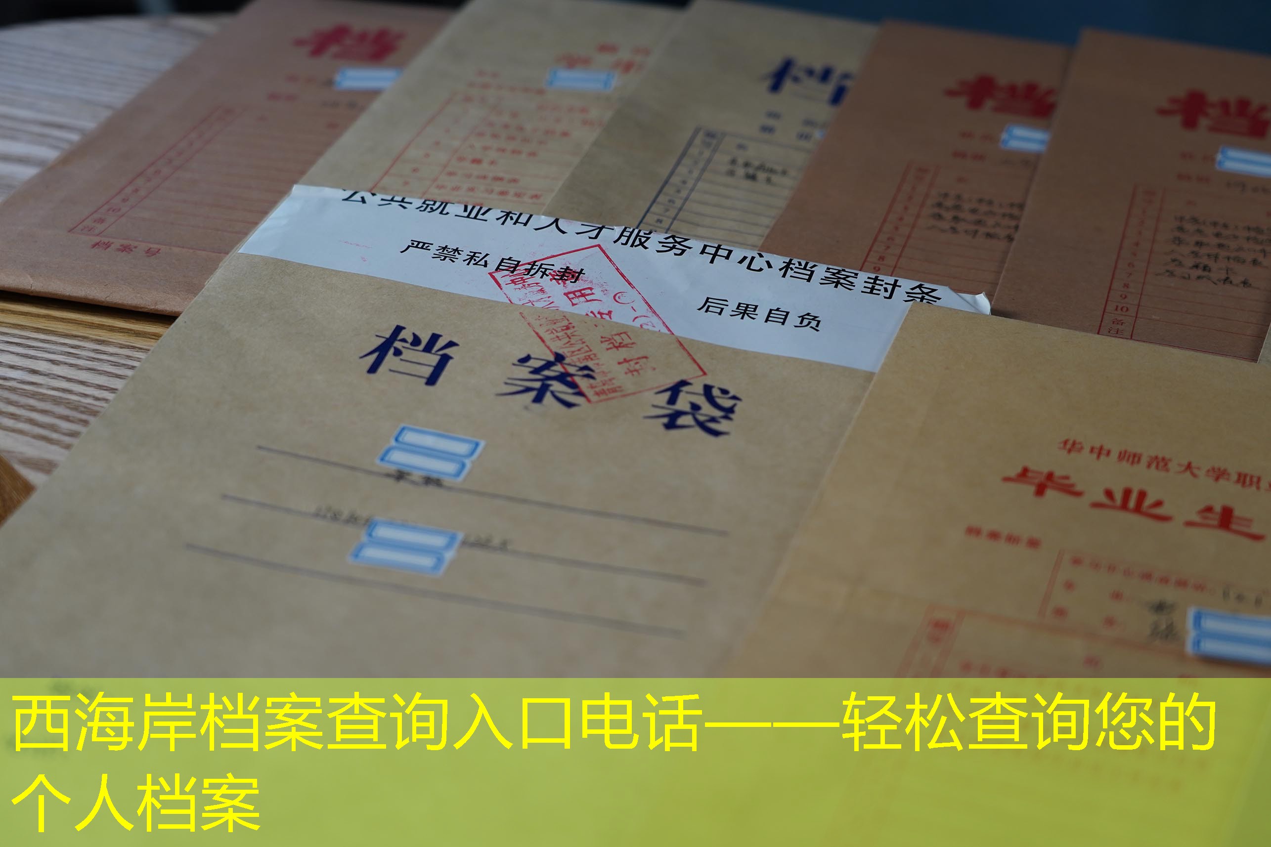 档案查询