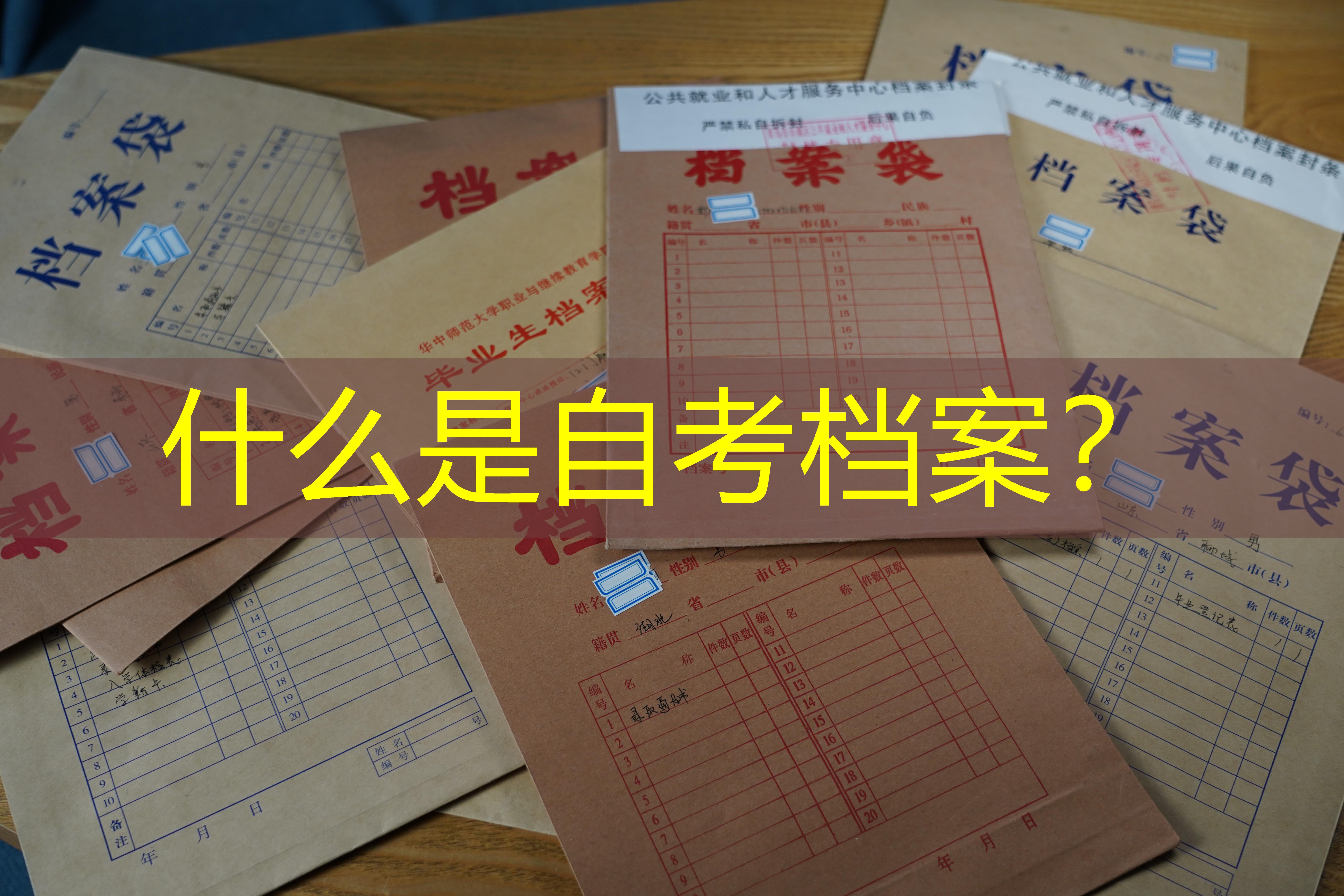 档案查询