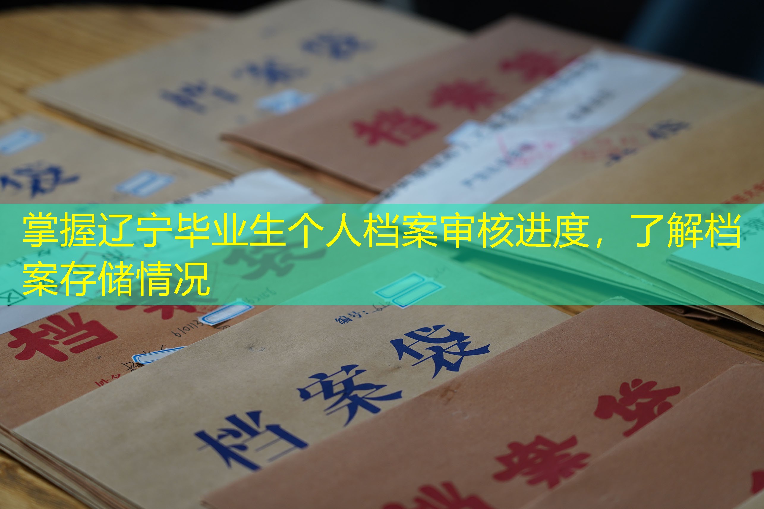 档案查询
