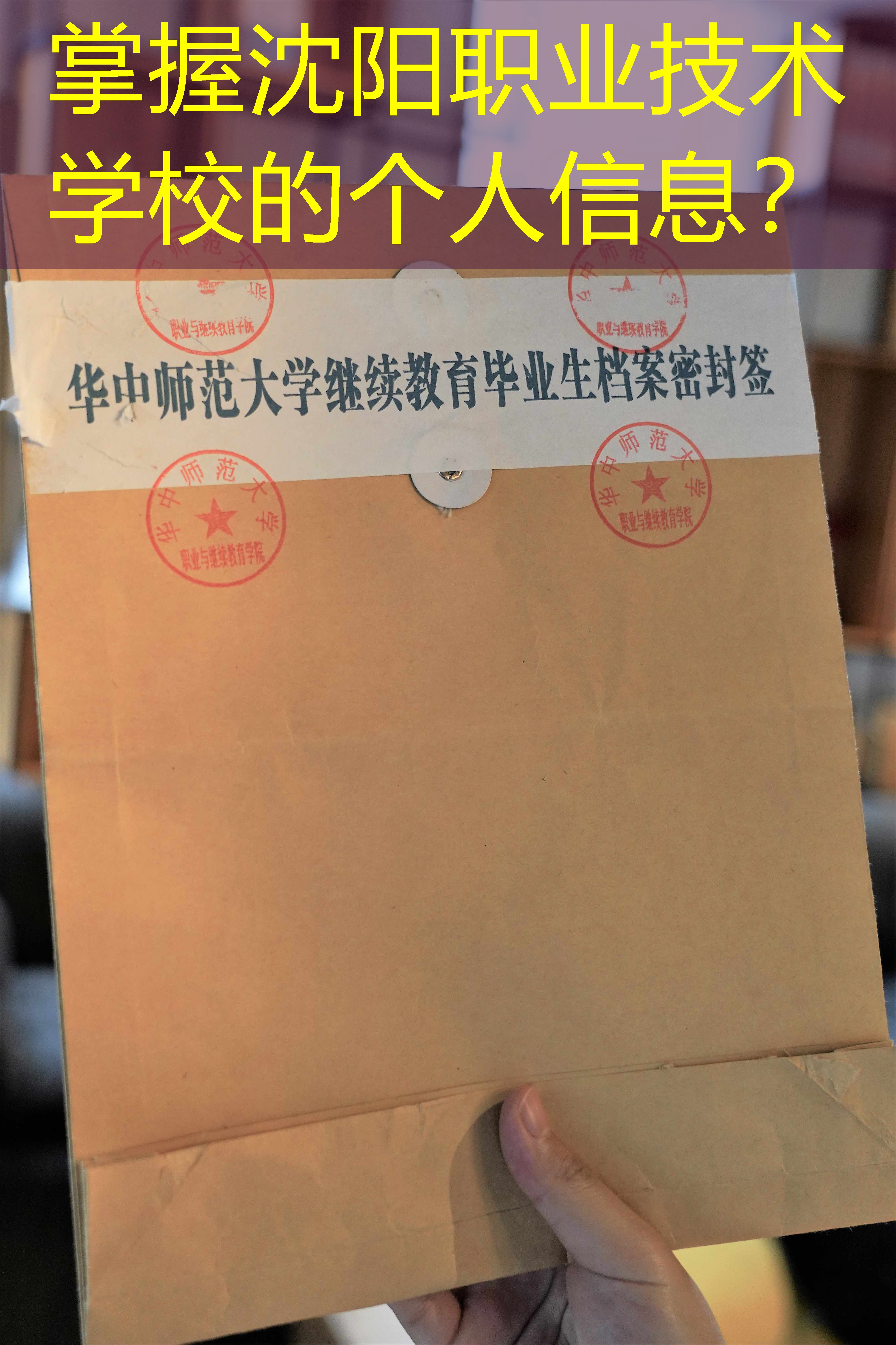 档案查询