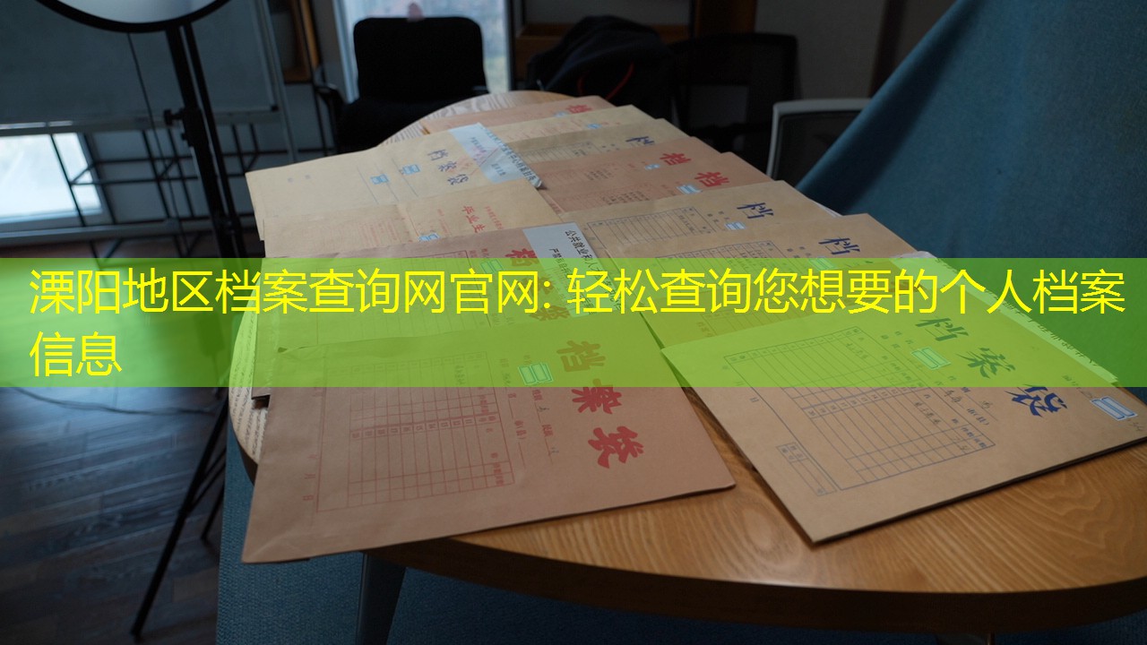 档案查询