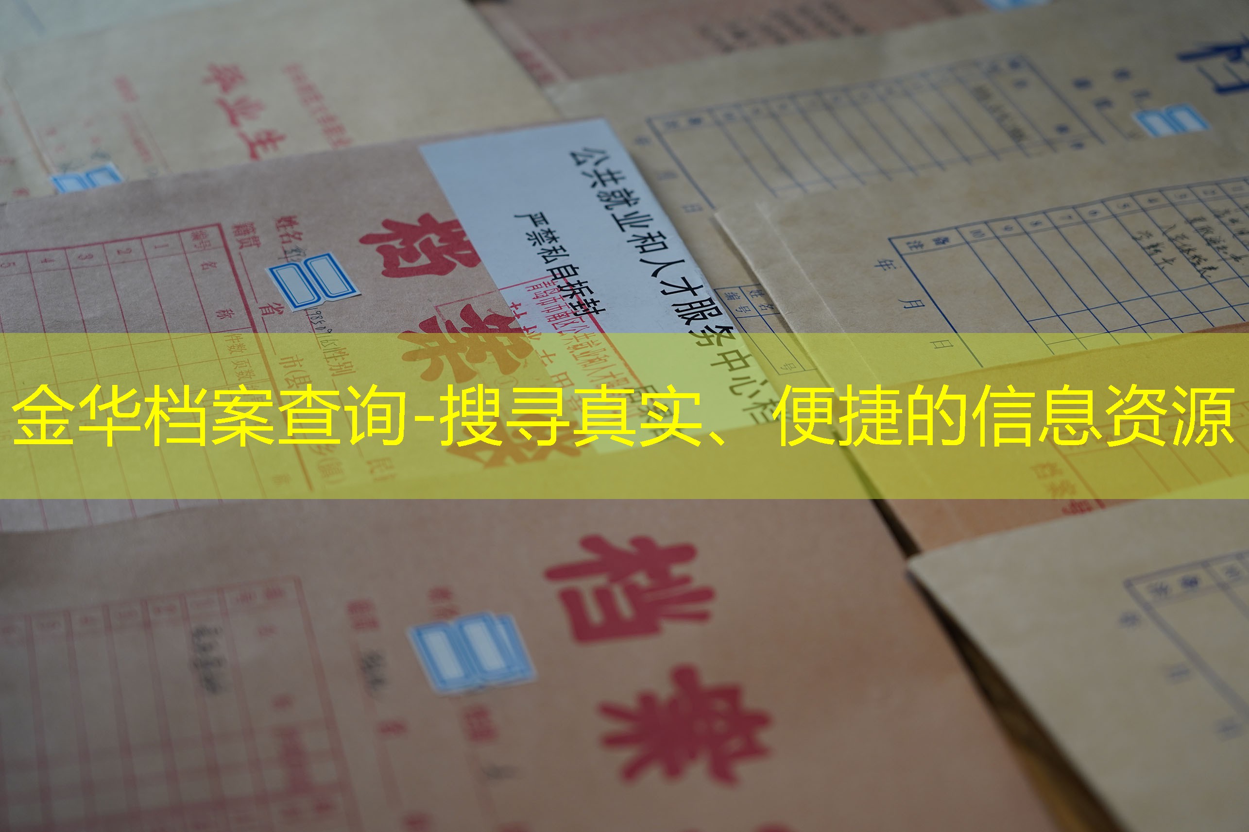 档案查询