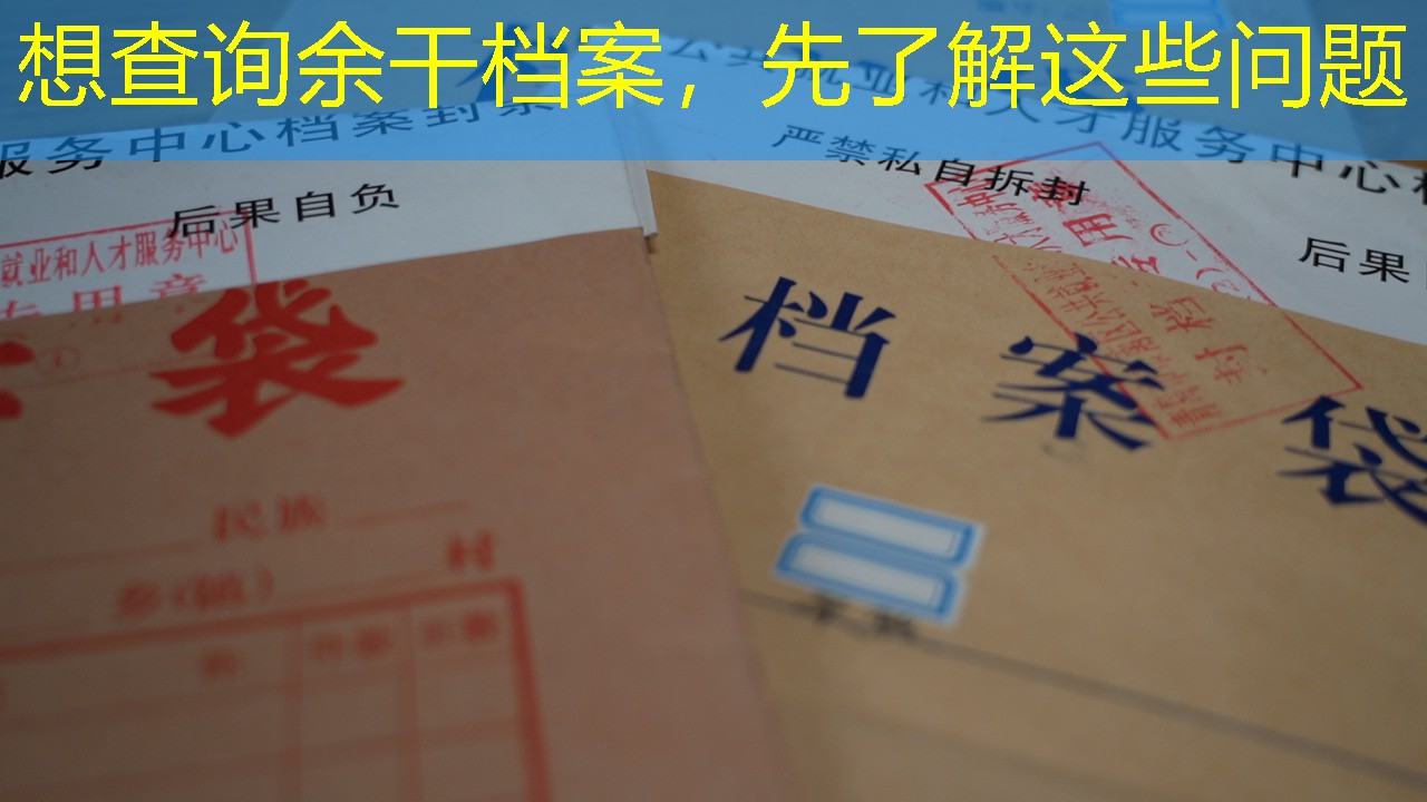 档案查询