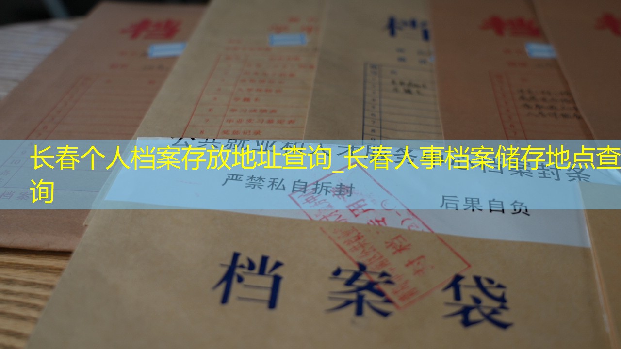 档案查询