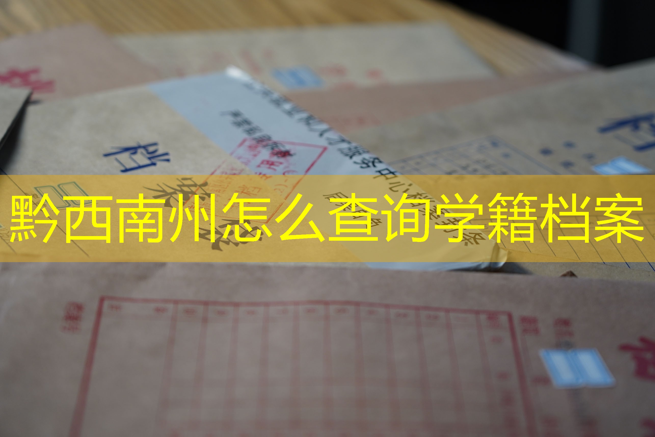 档案查询
