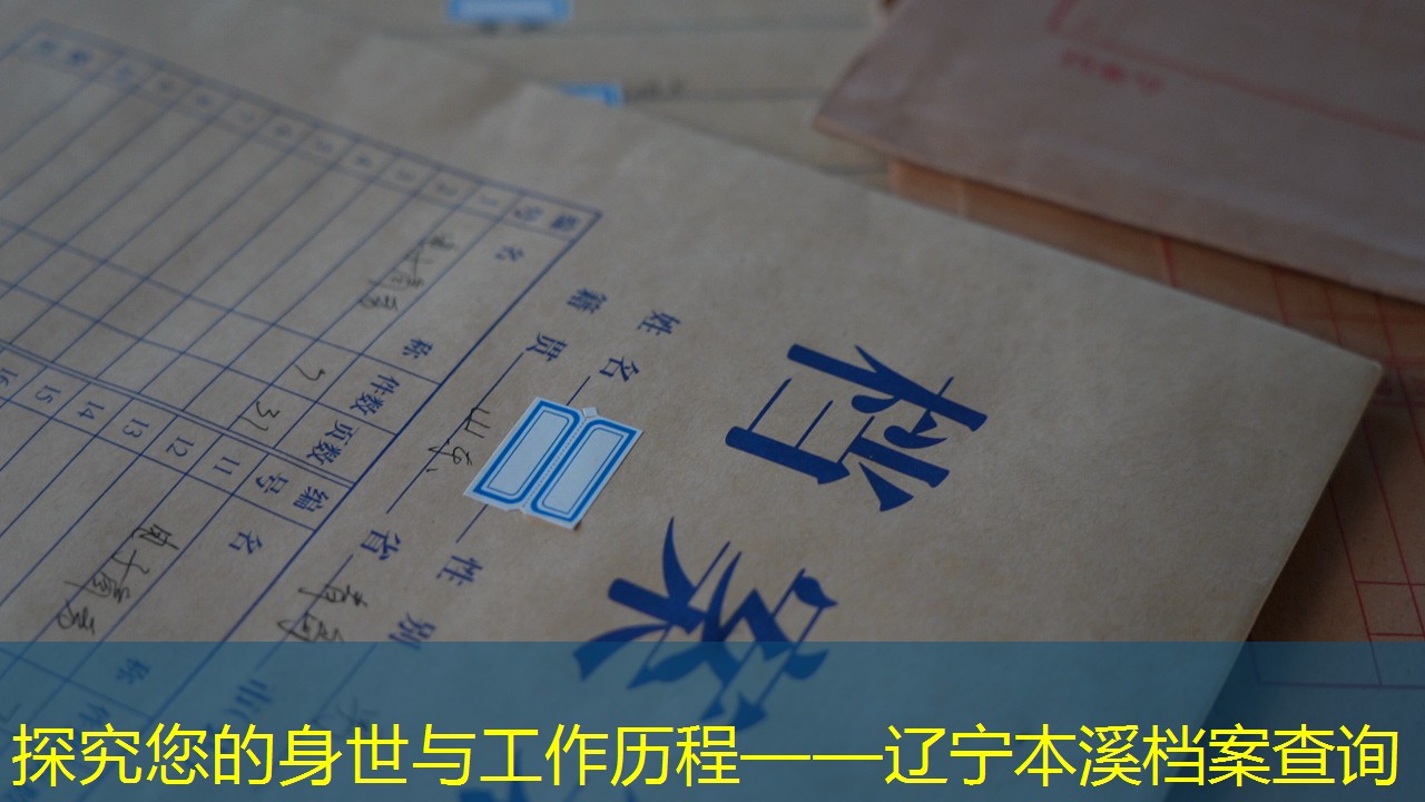 档案查询