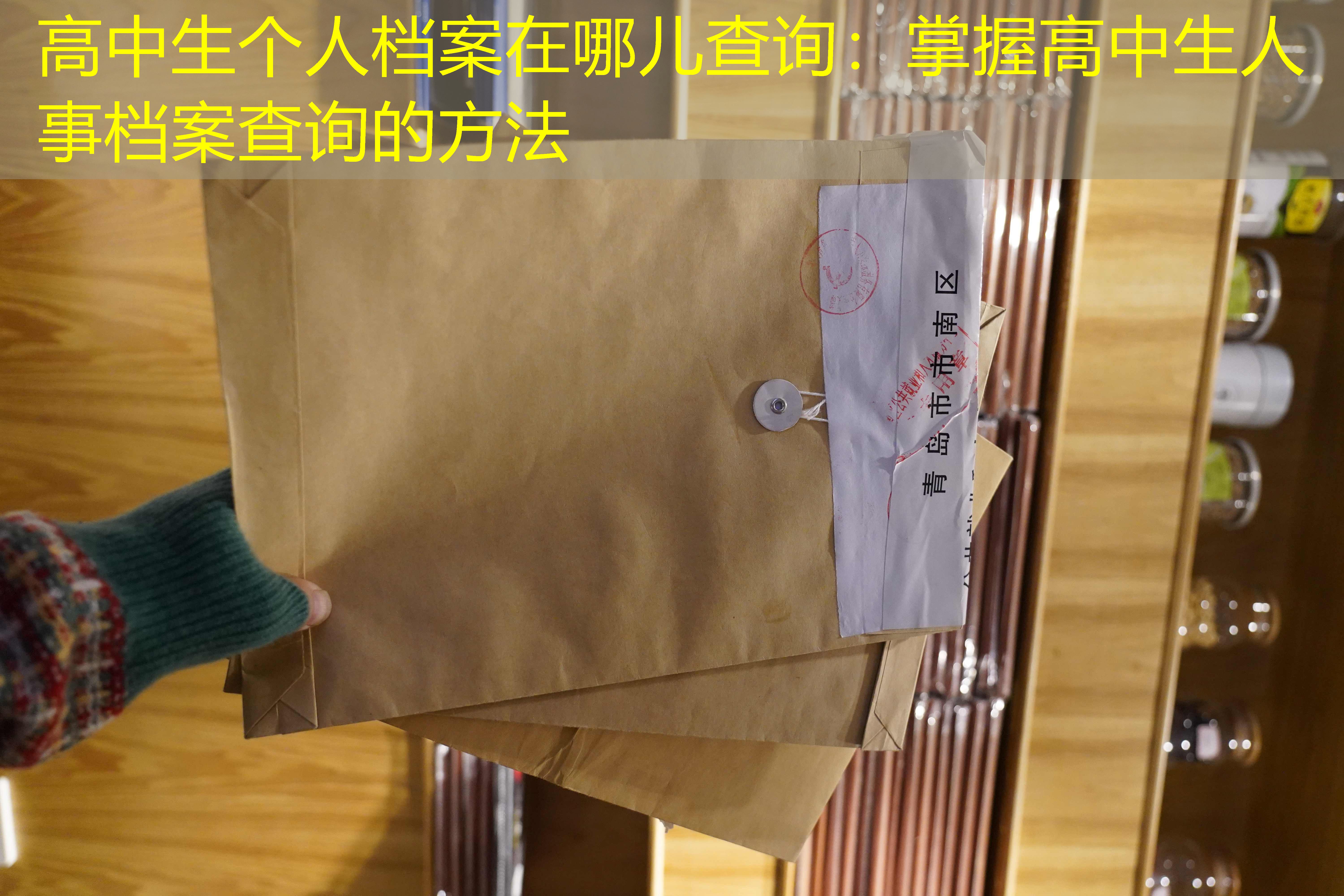 档案查询
