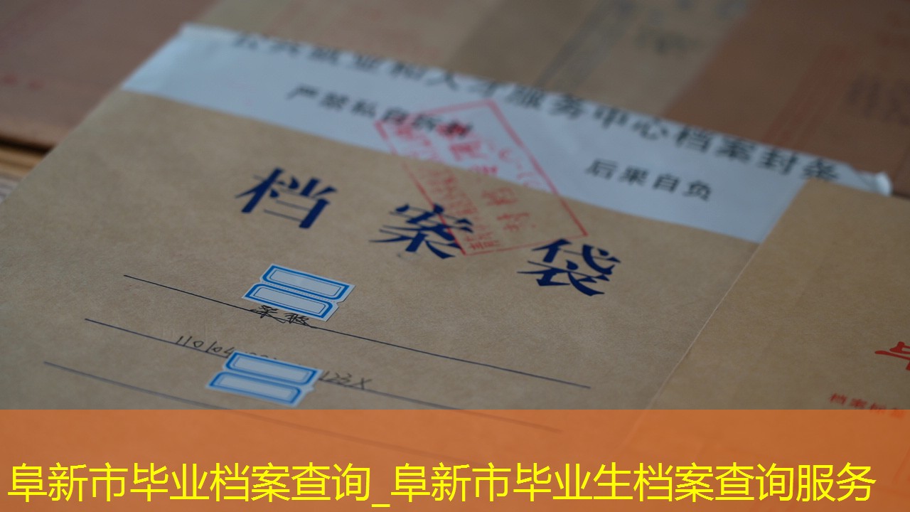 档案查询