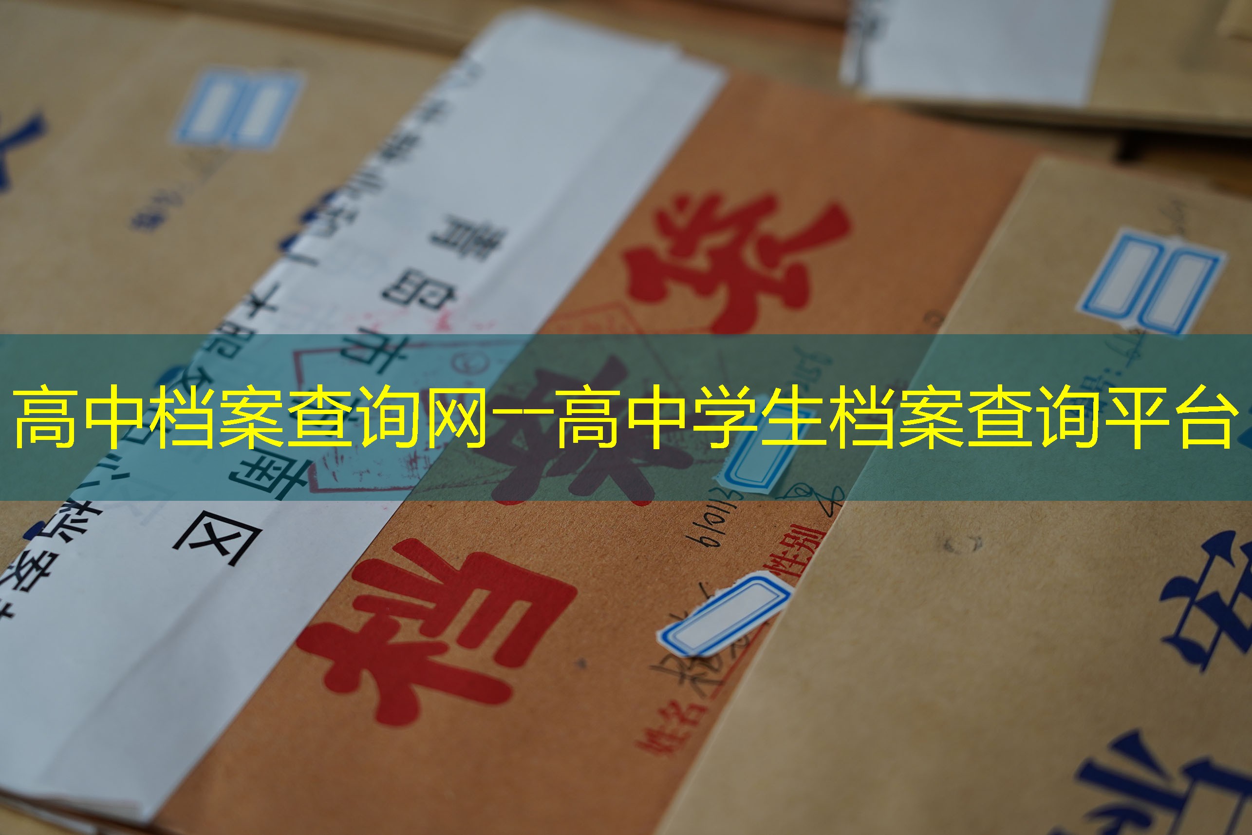 档案查询