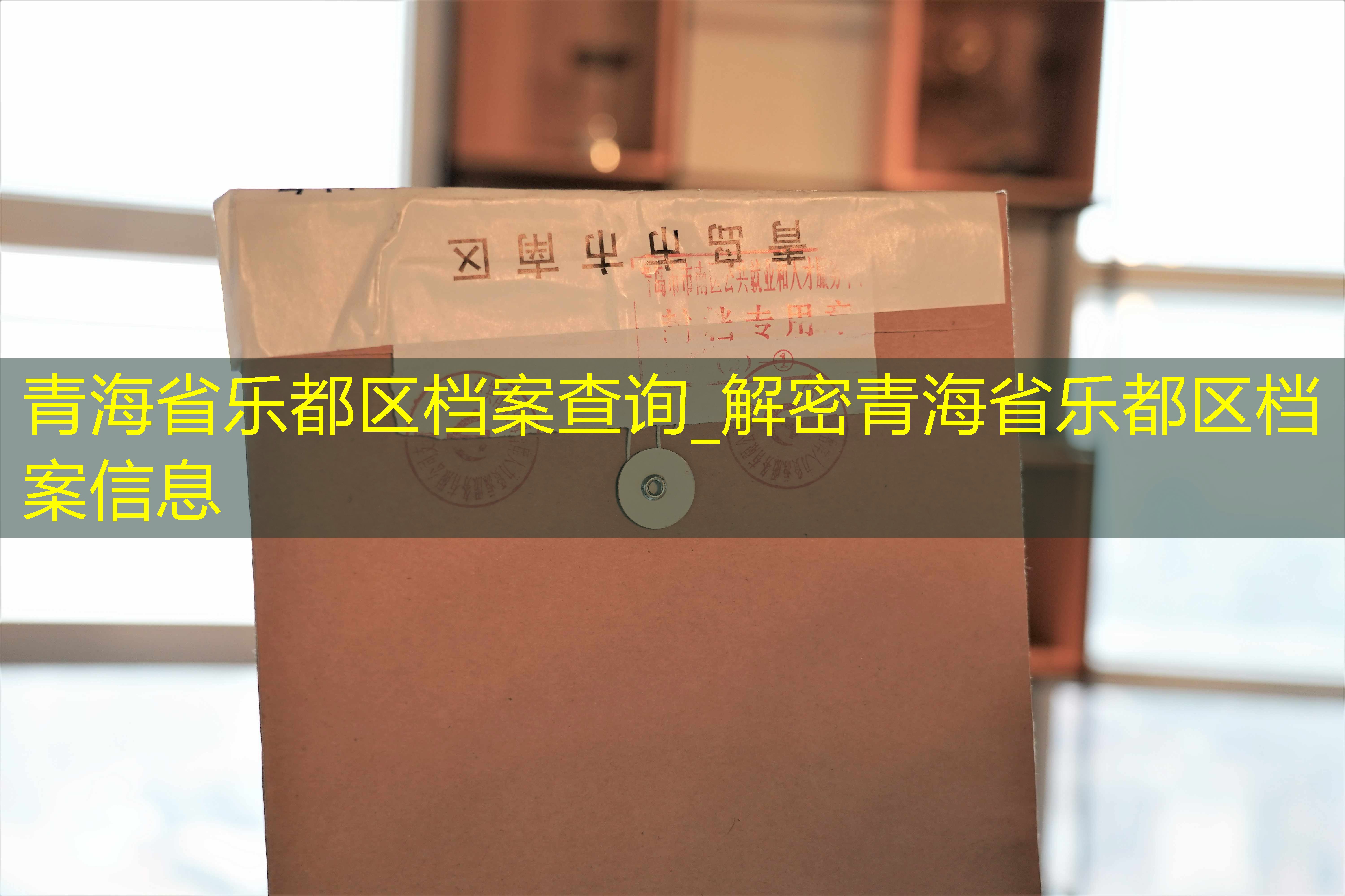 档案查询