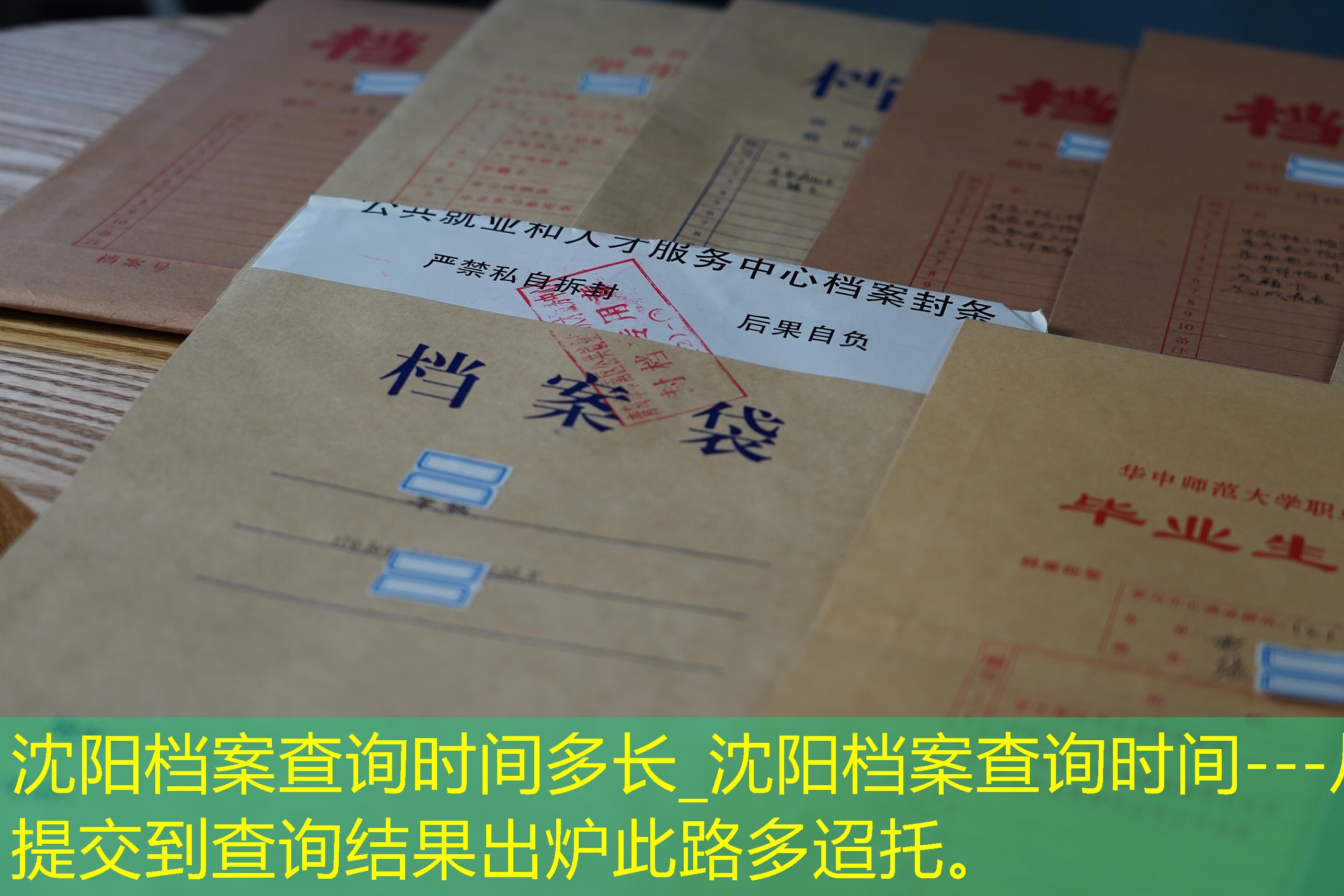 档案查询