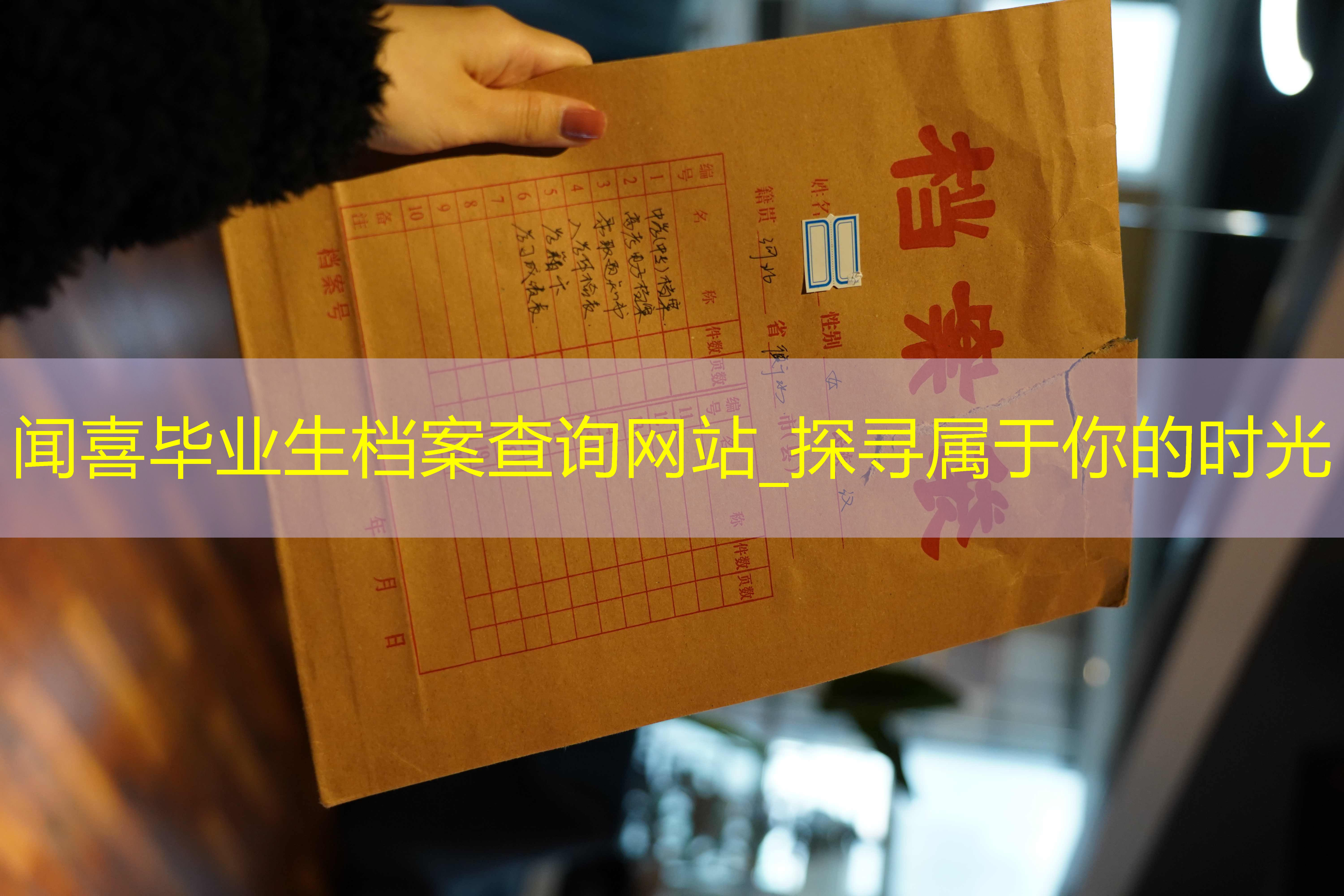 档案查询