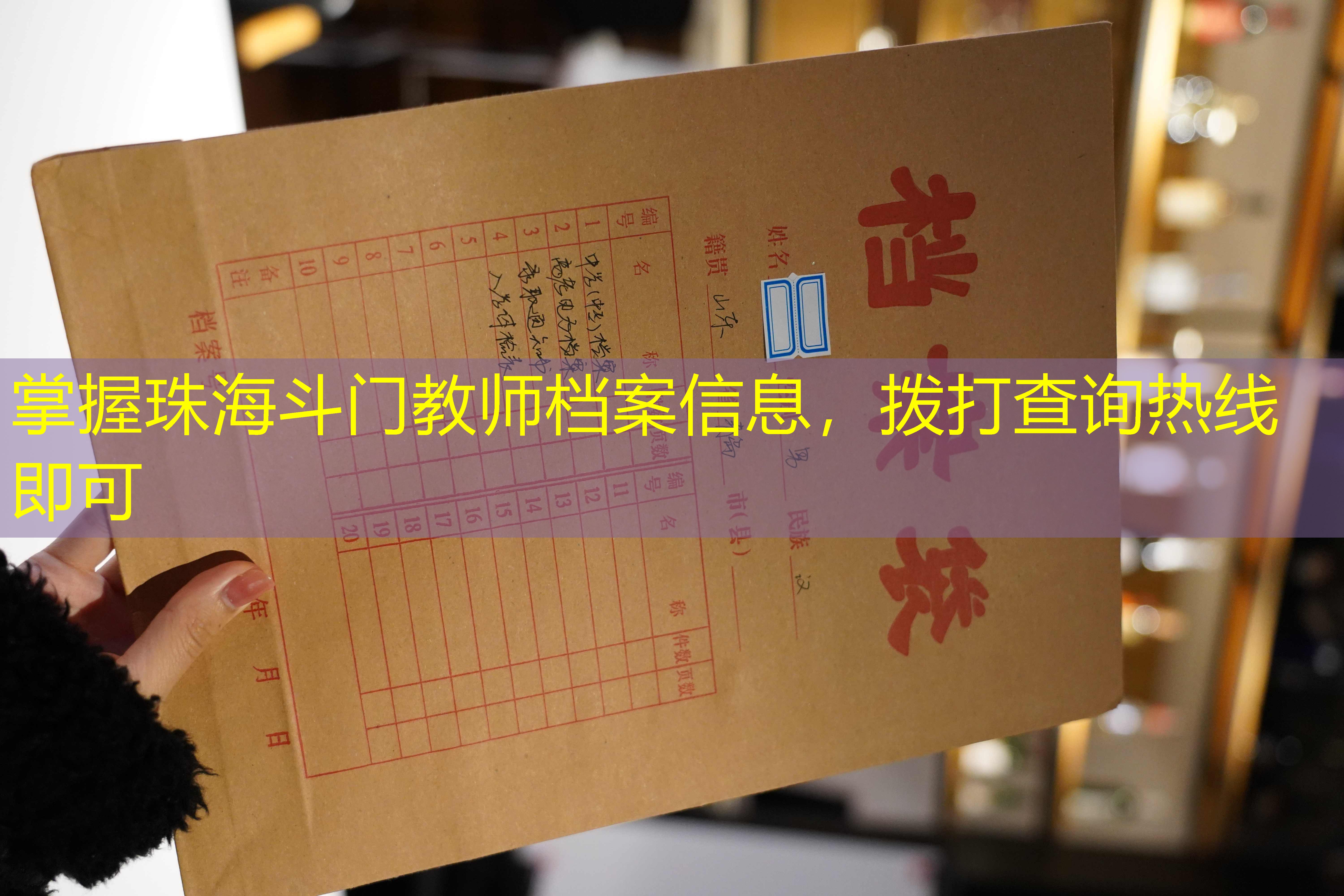 档案查询
