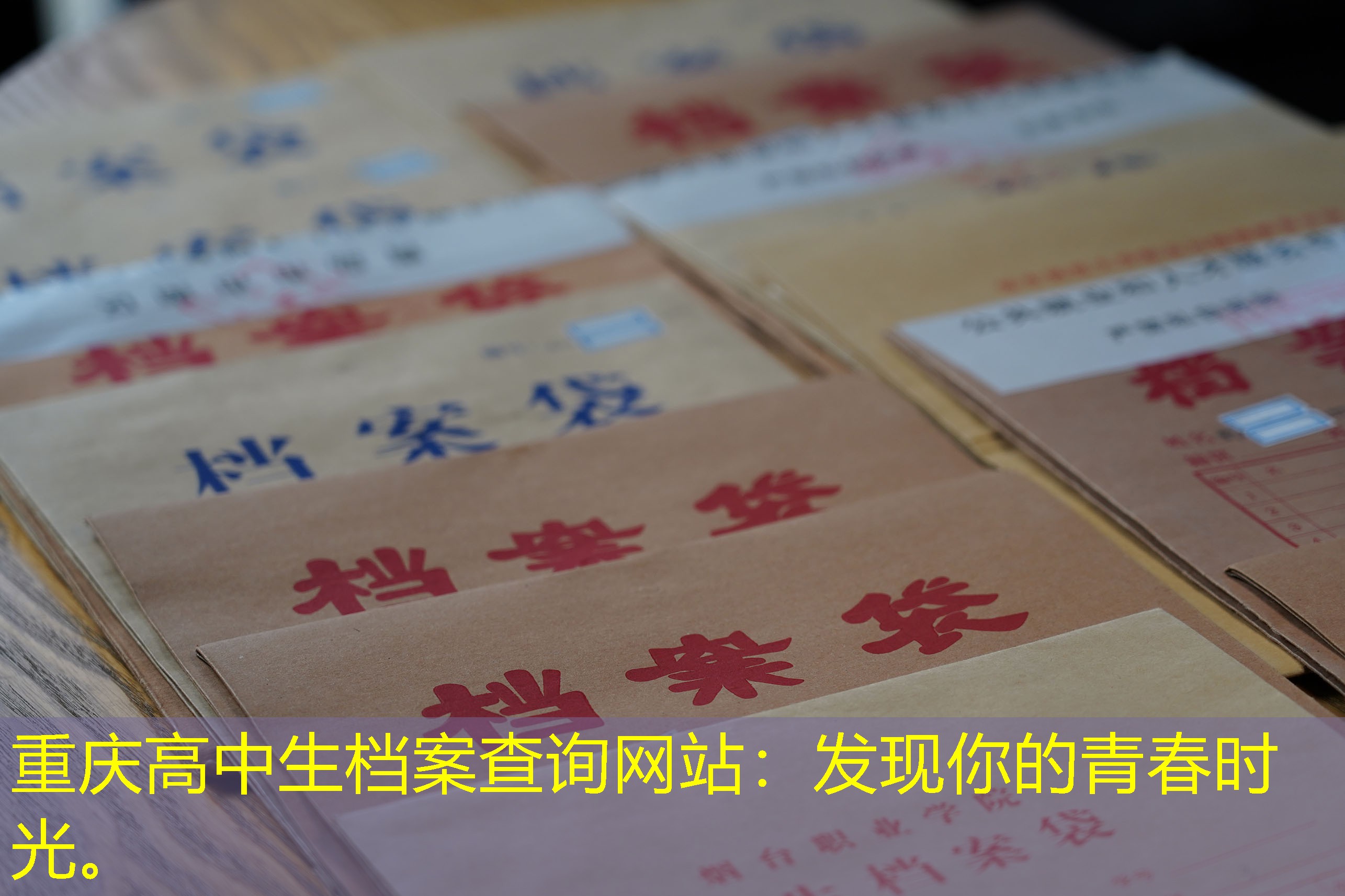 档案查询