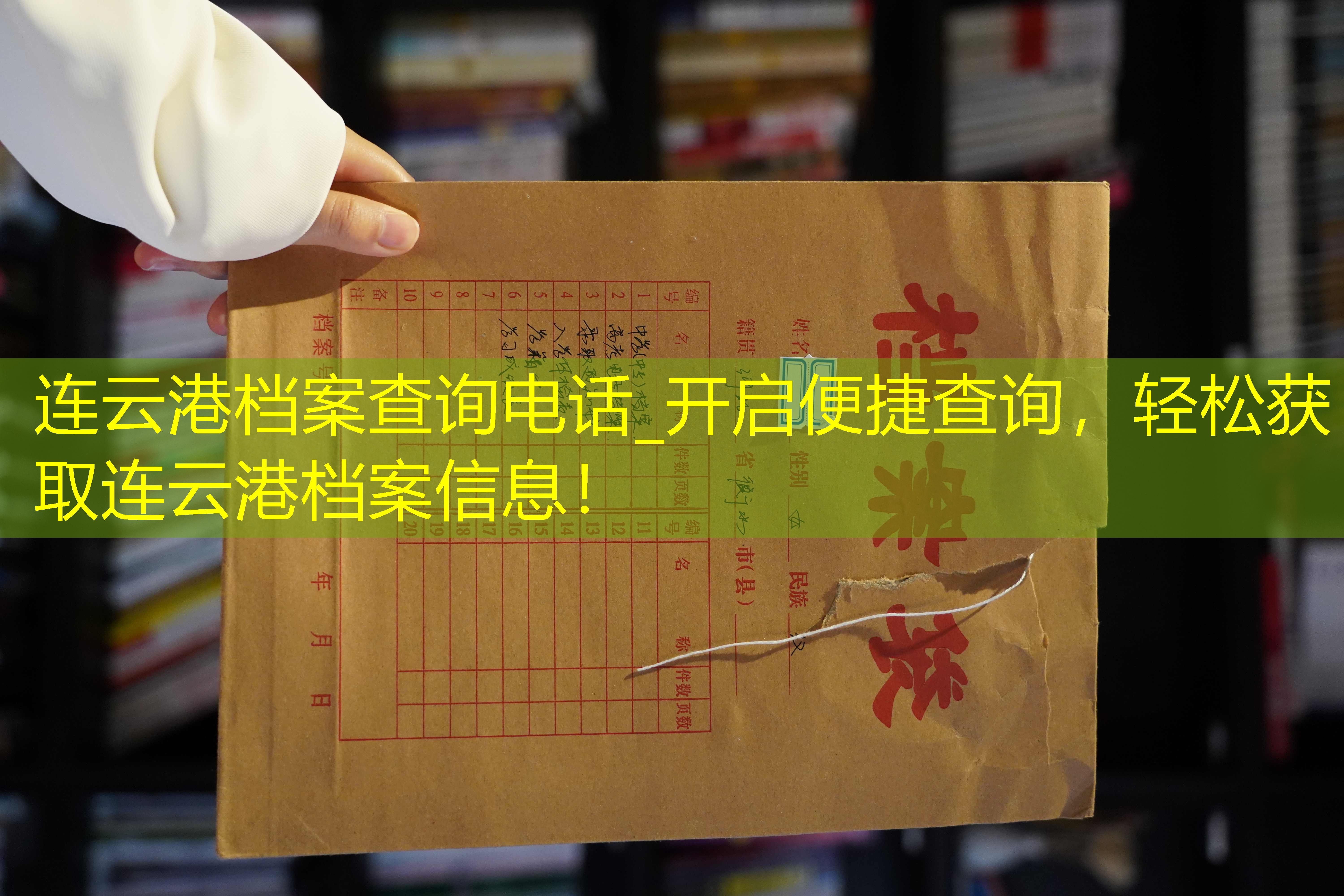 档案查询