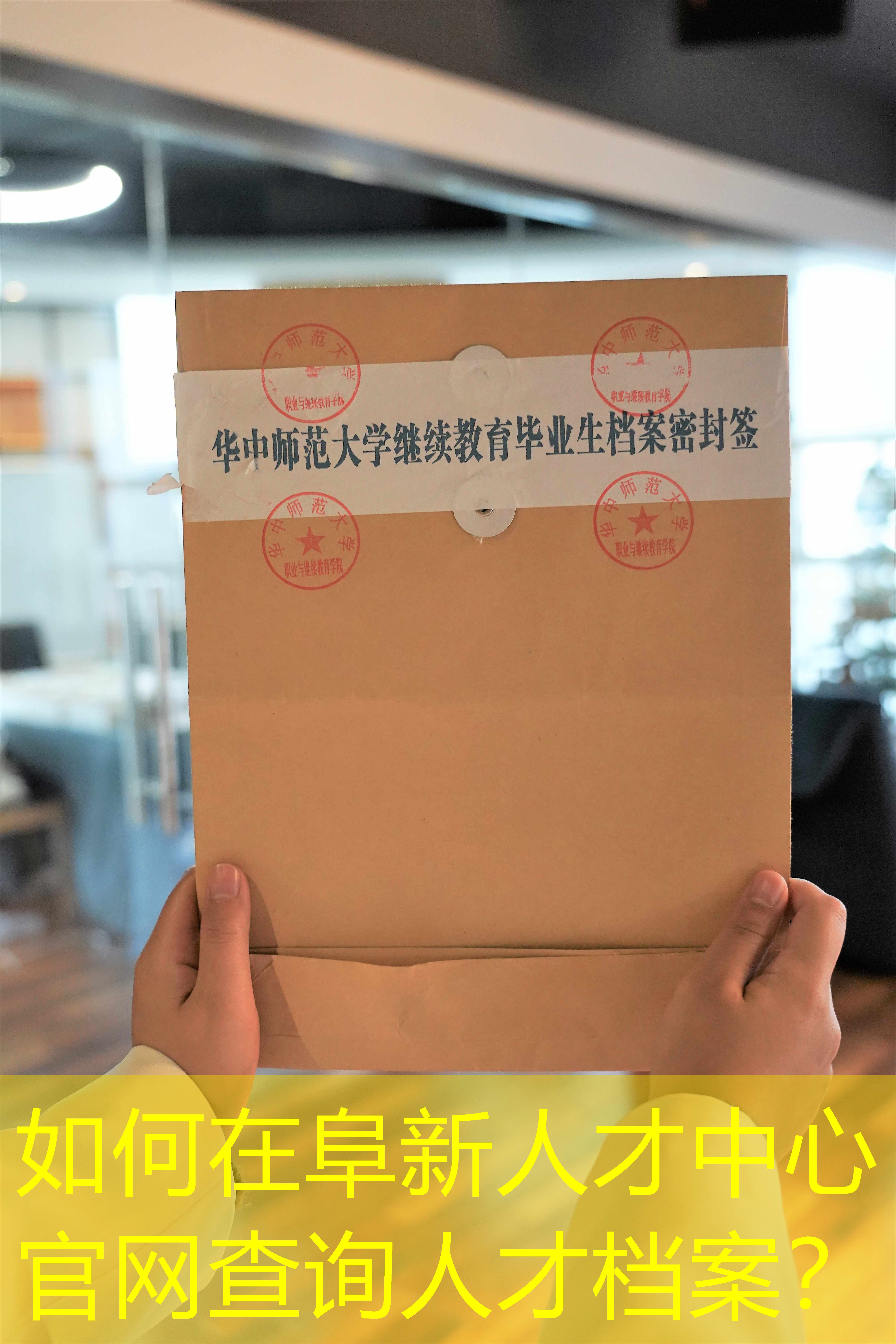 档案查询