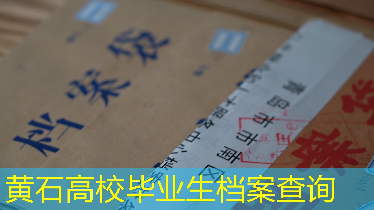 档案查询