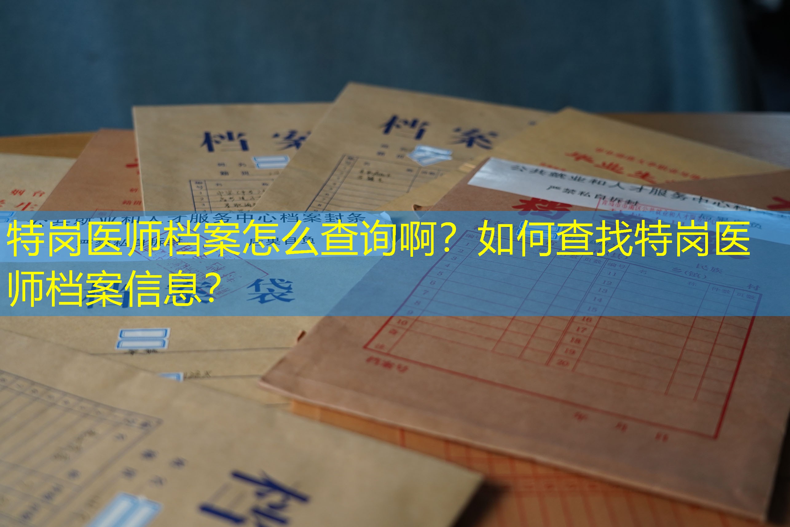 档案查询