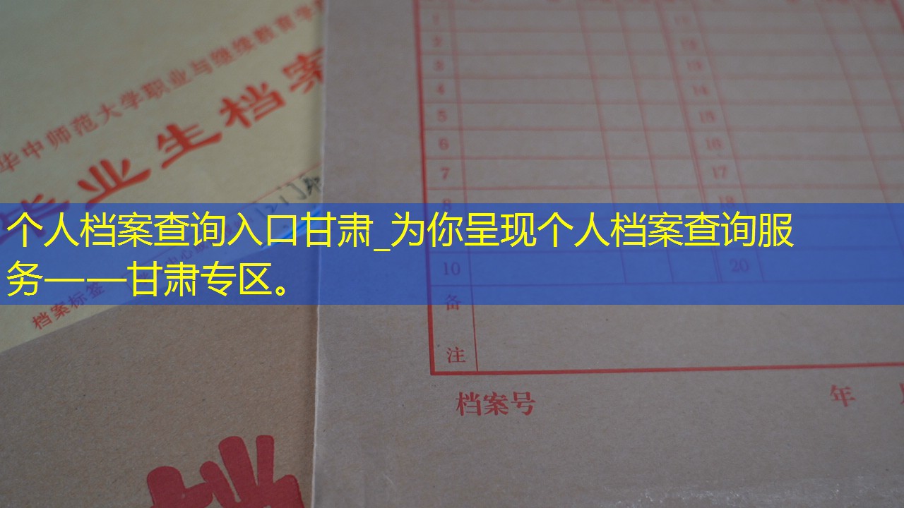 档案查询