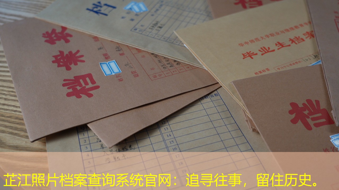 档案查询
