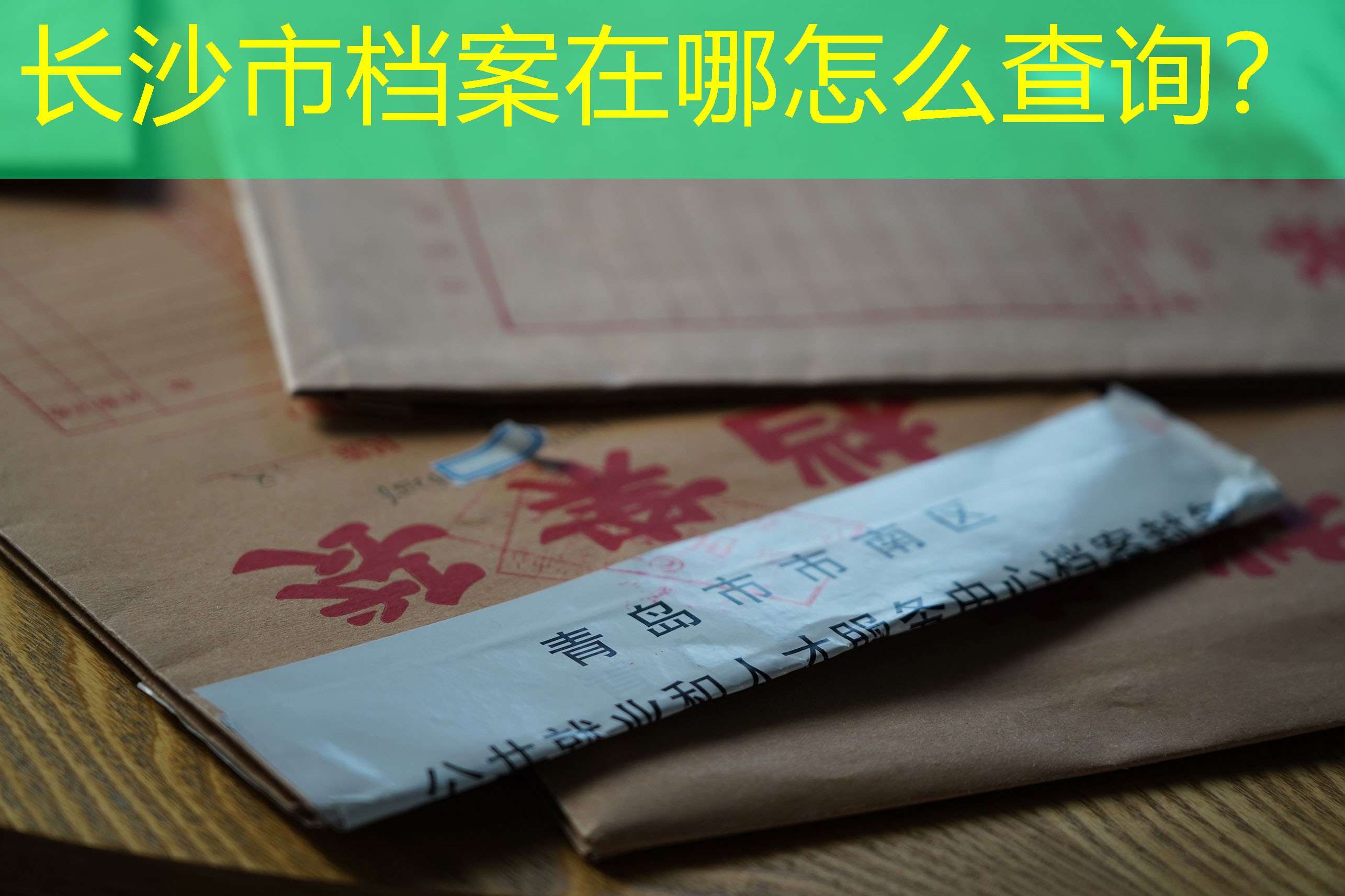 档案查询