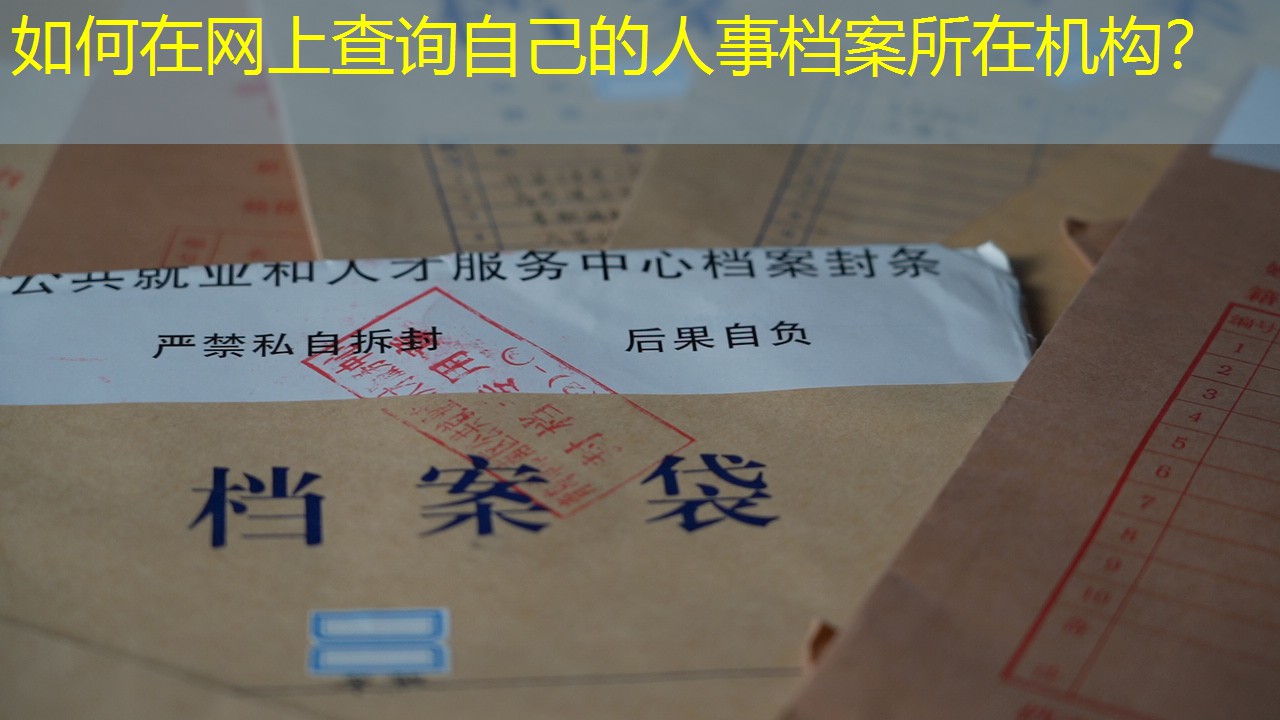 档案查询