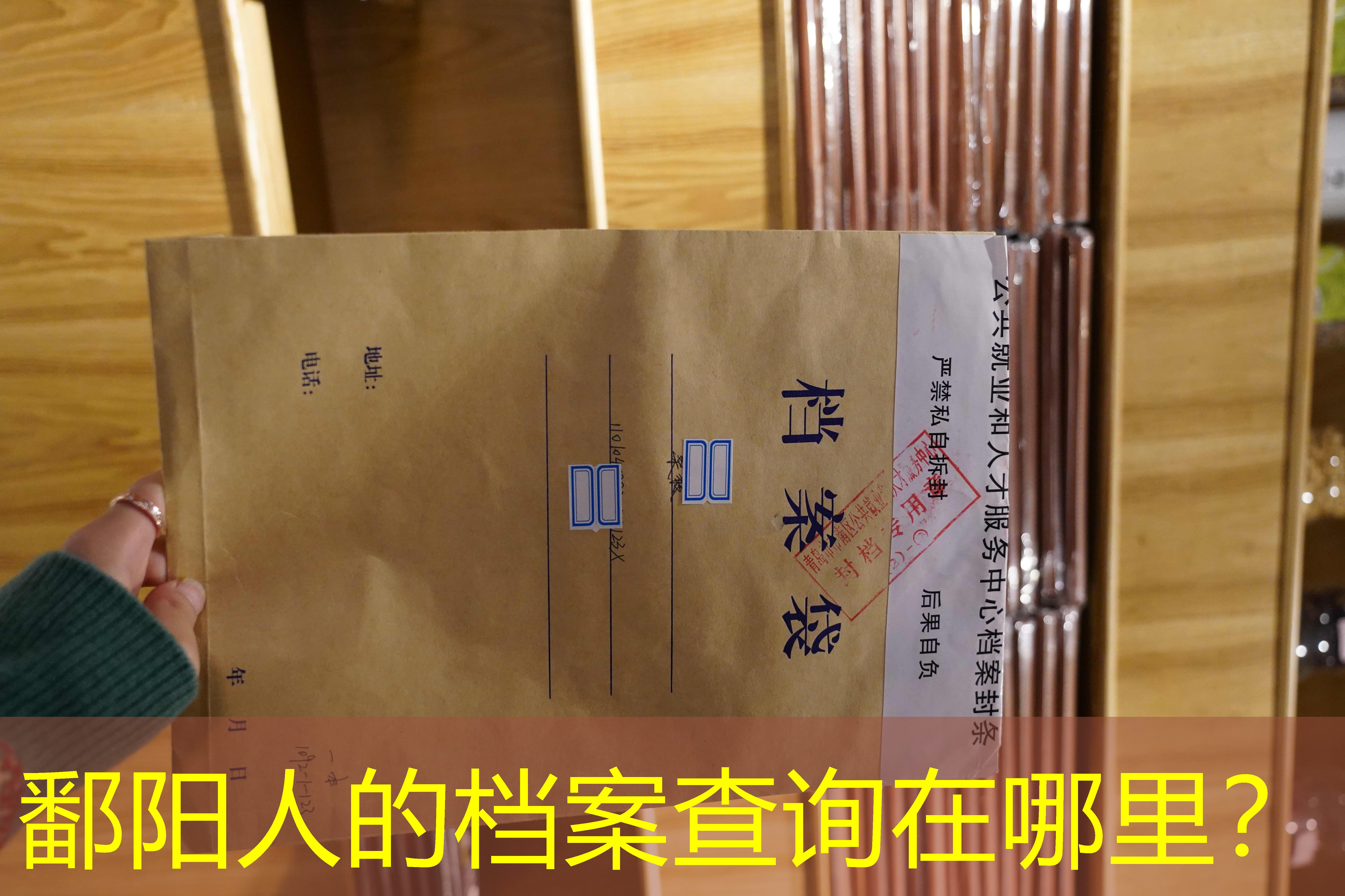 档案查询