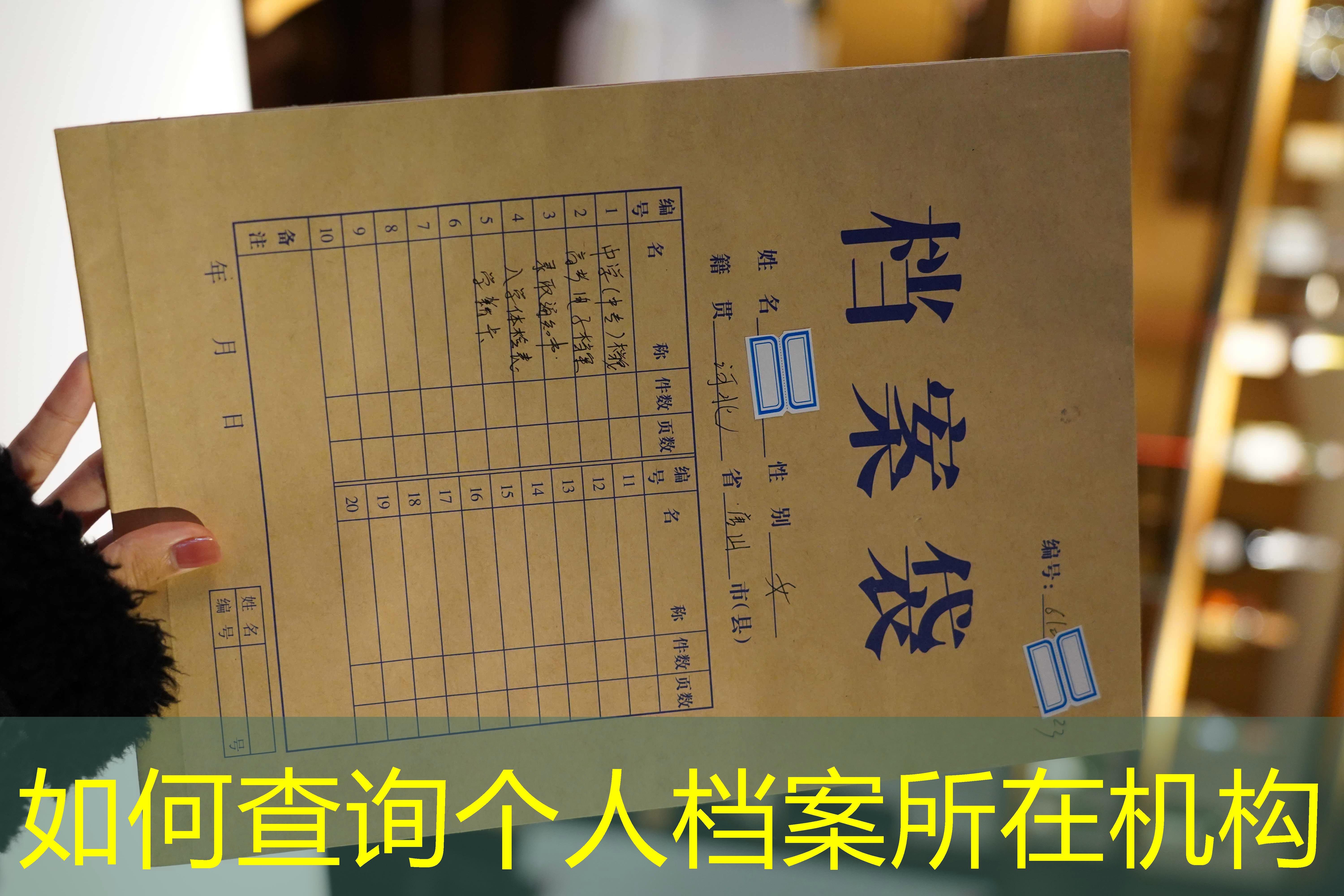 档案查询