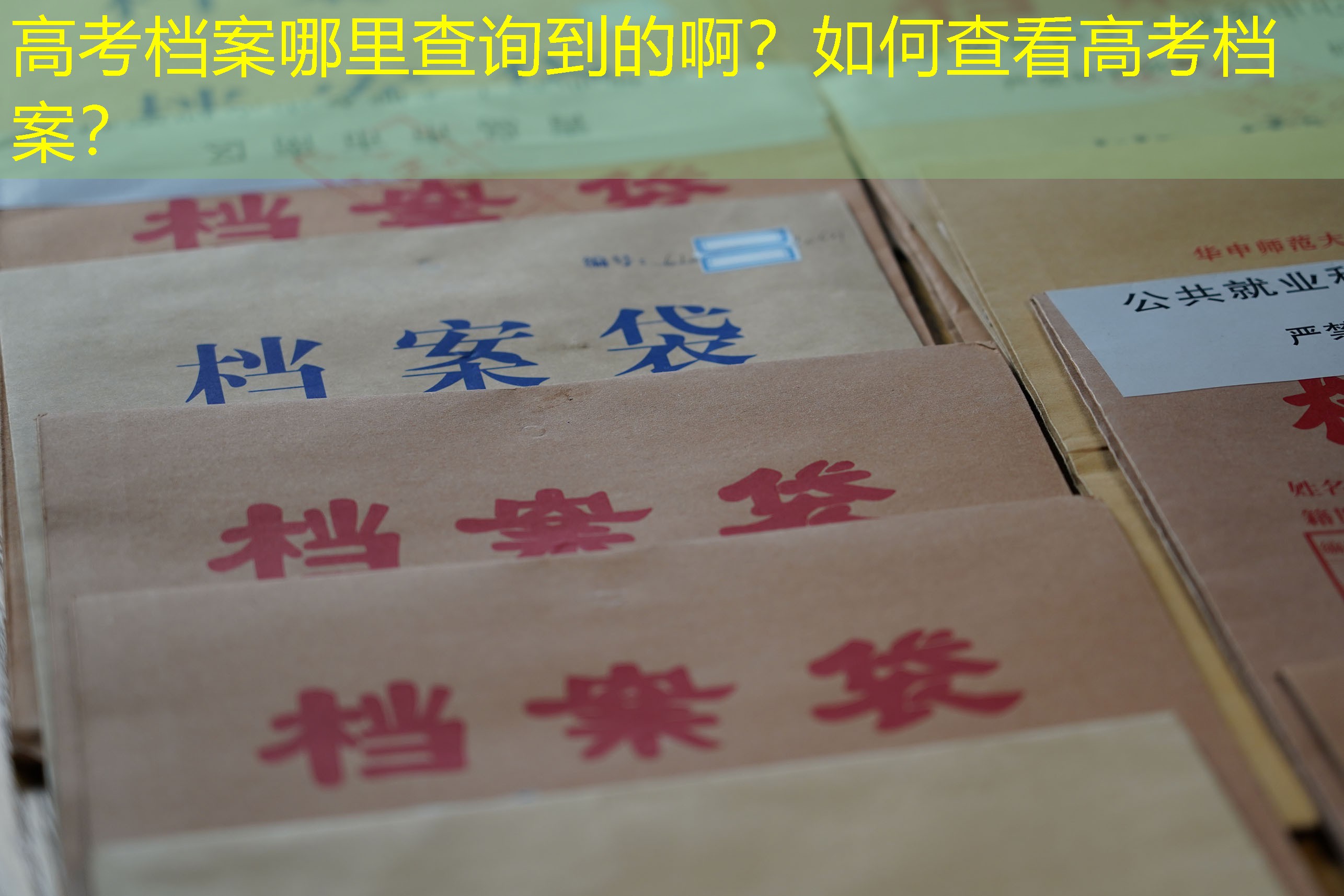 档案查询