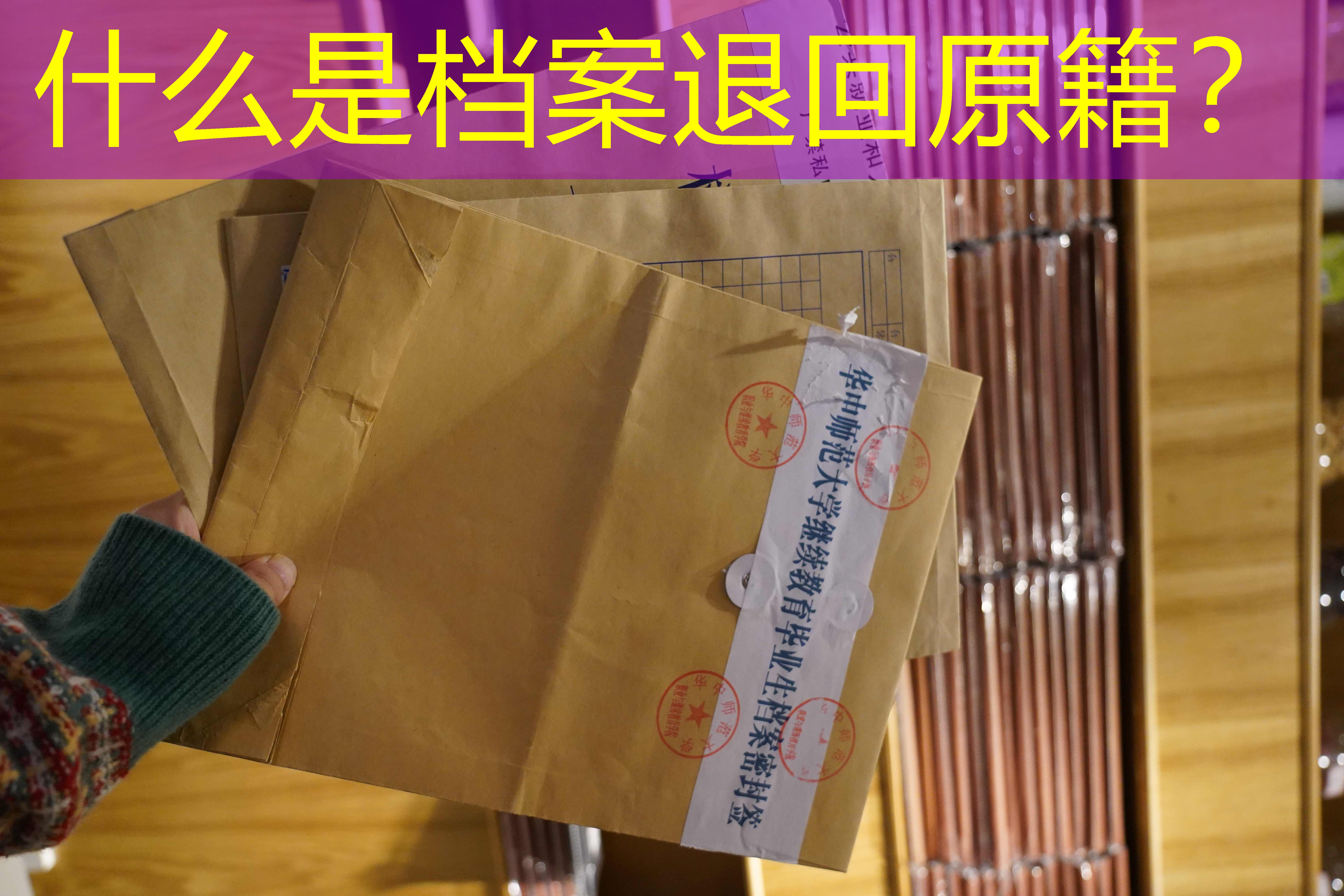 档案查询