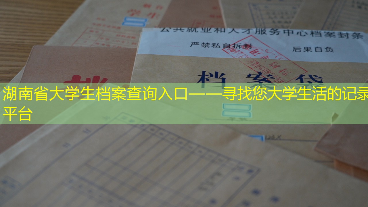档案查询