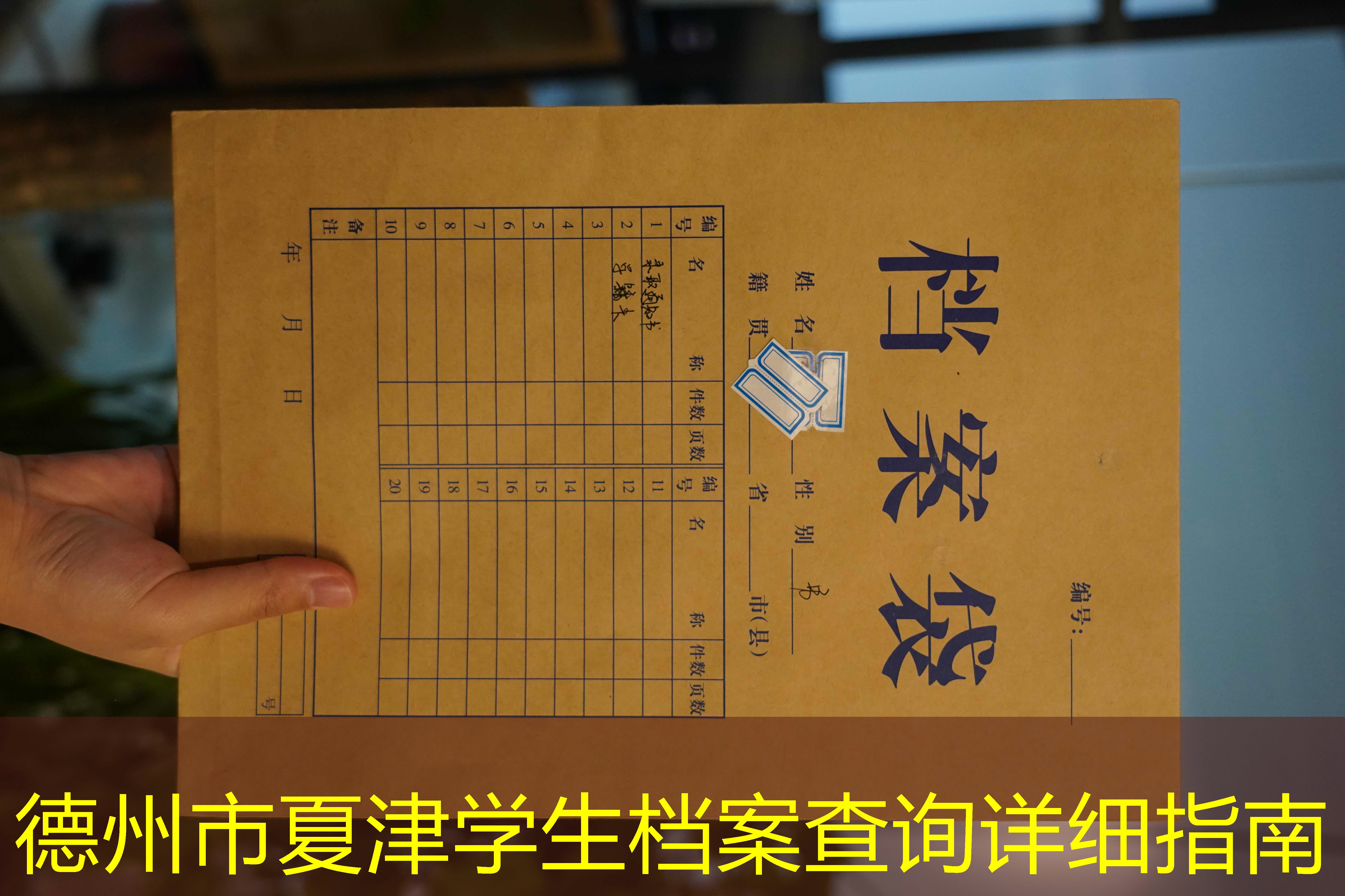 档案查询