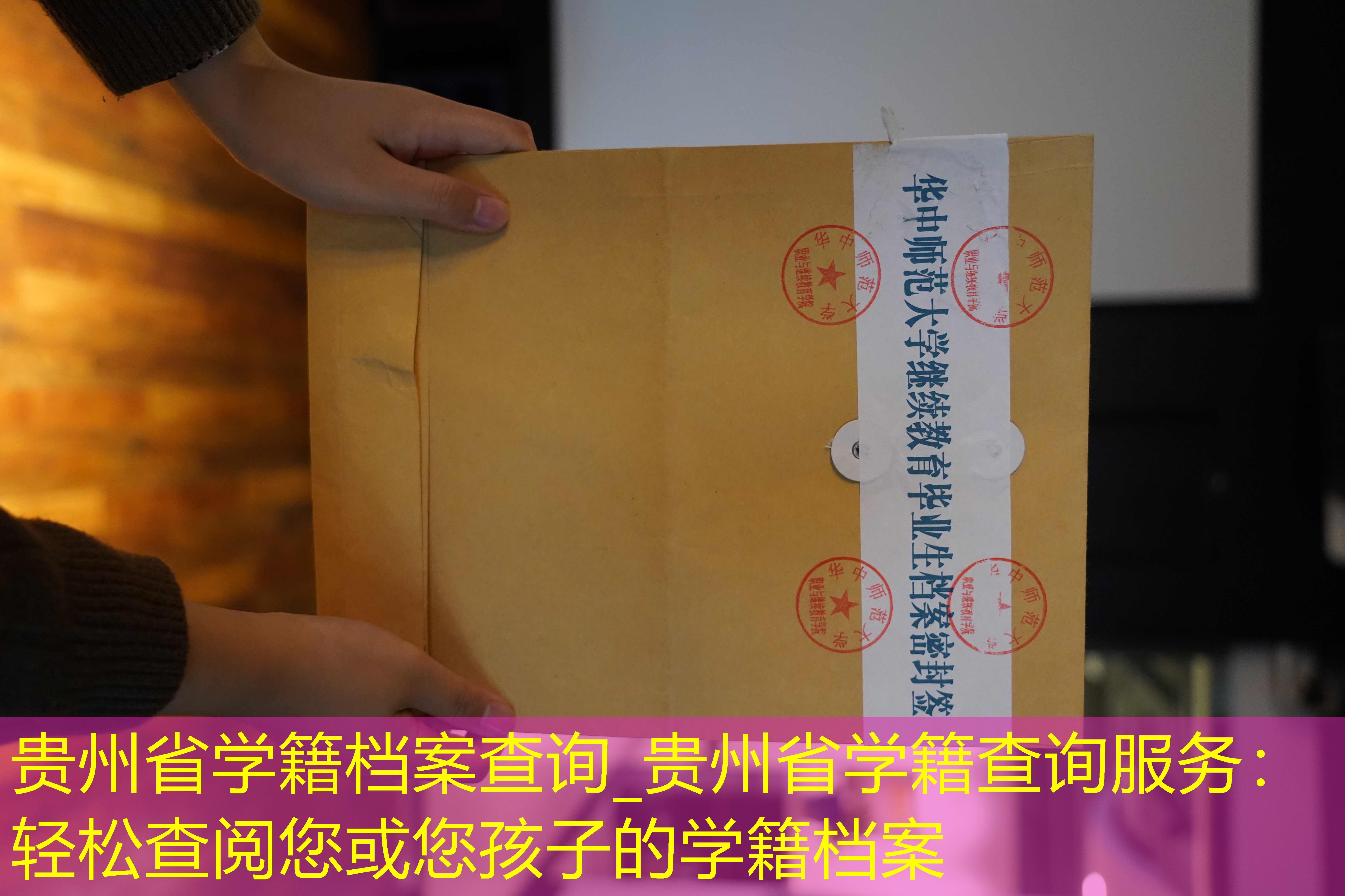 档案查询