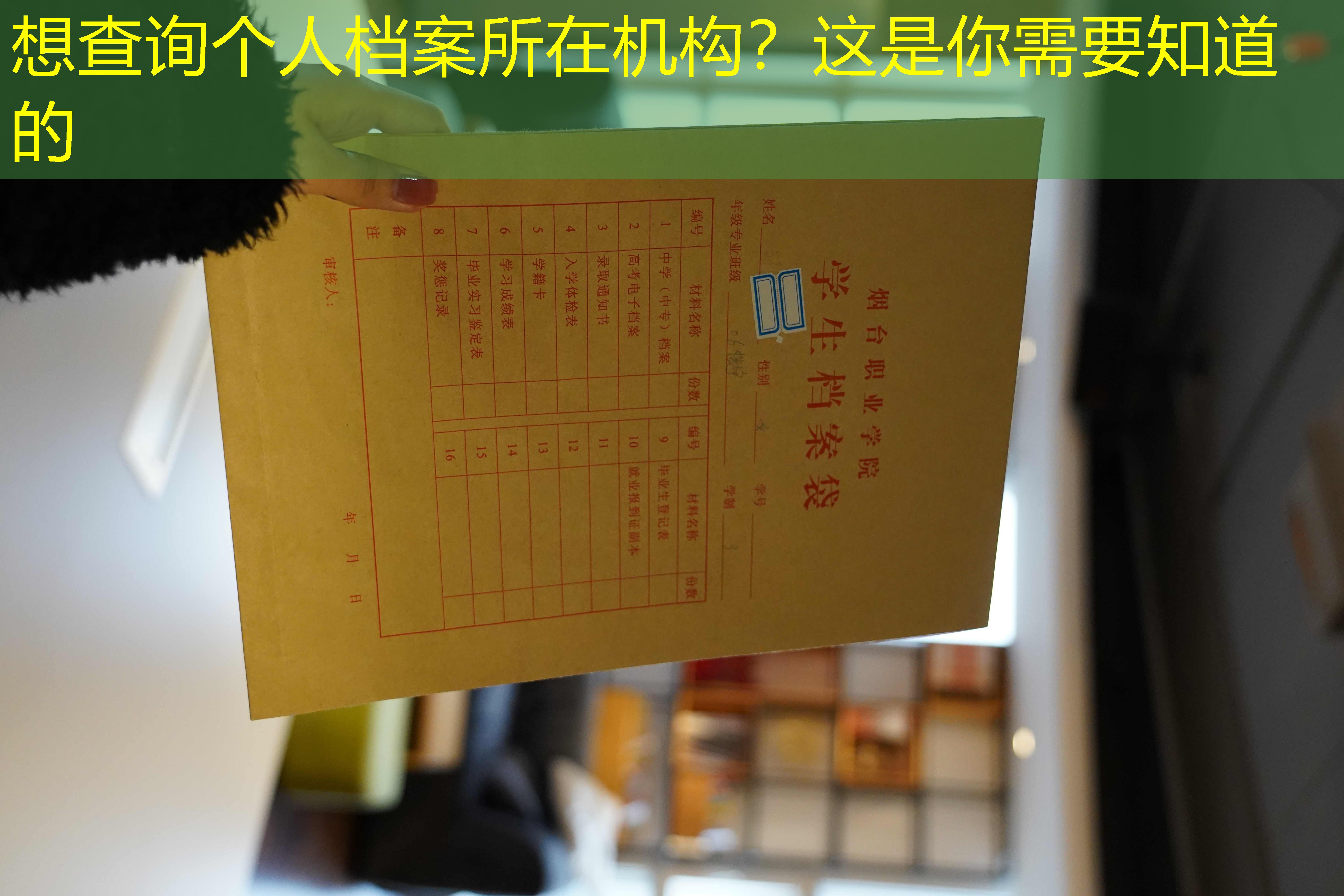 档案查询