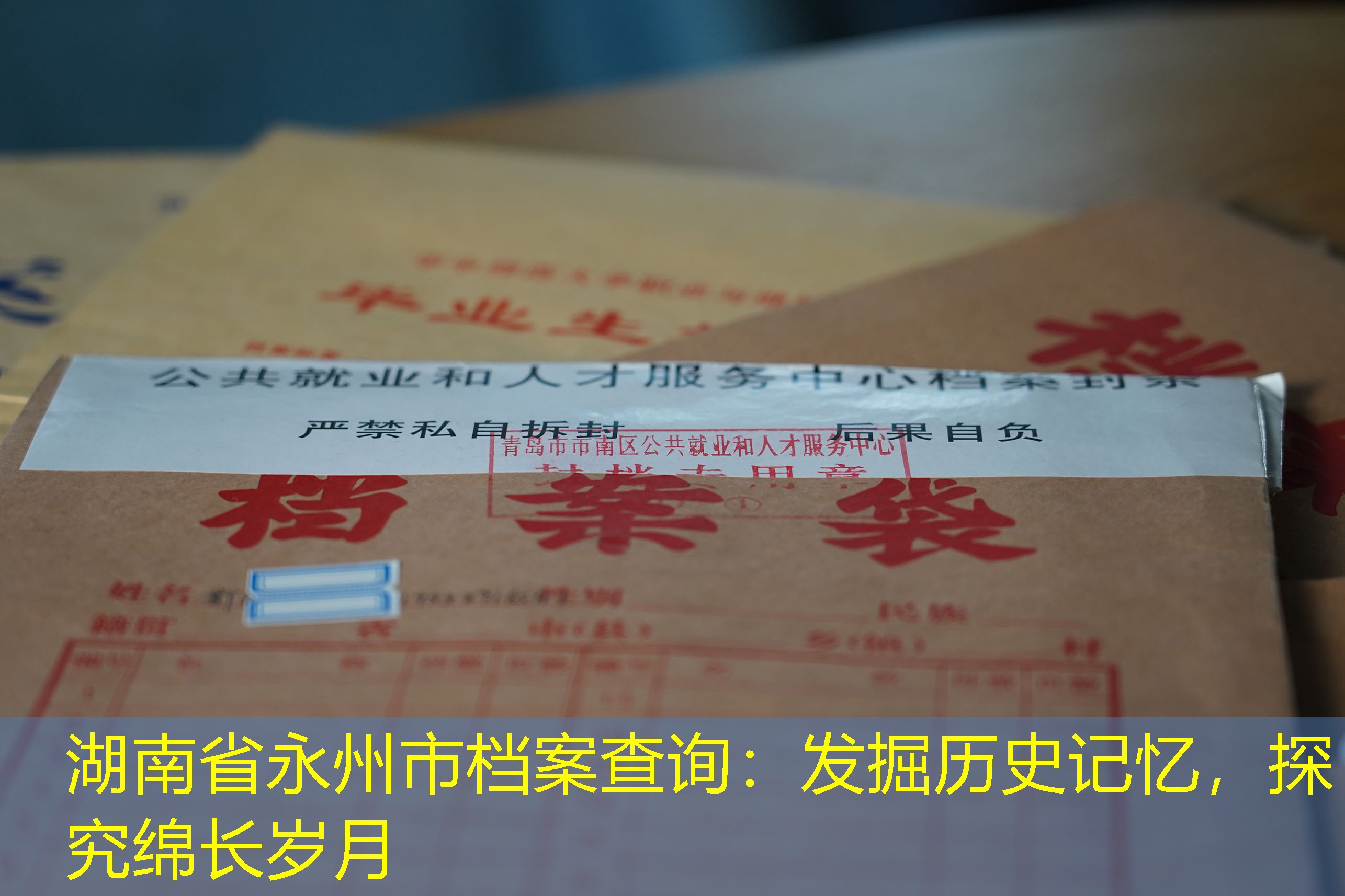 档案查询