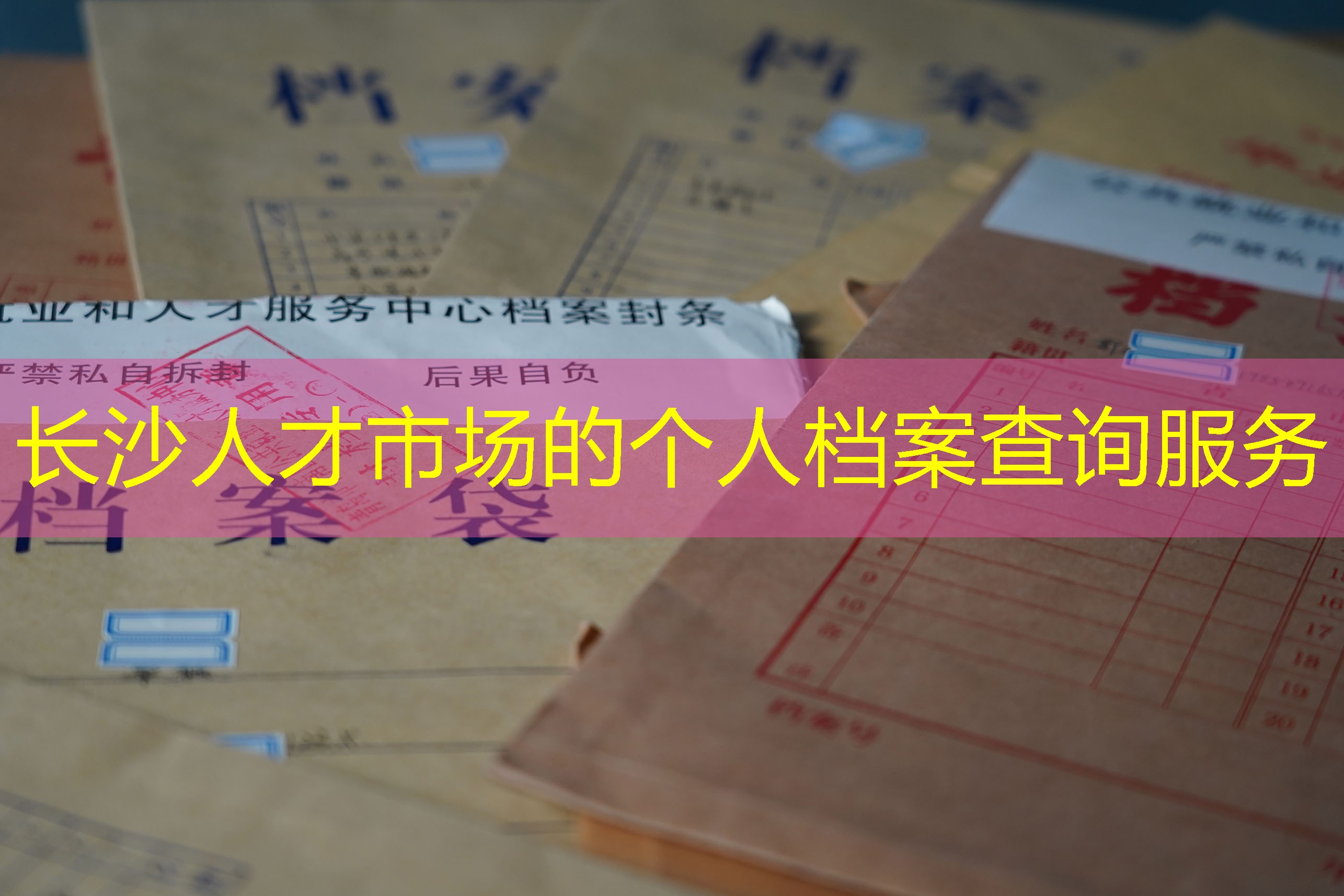 档案查询