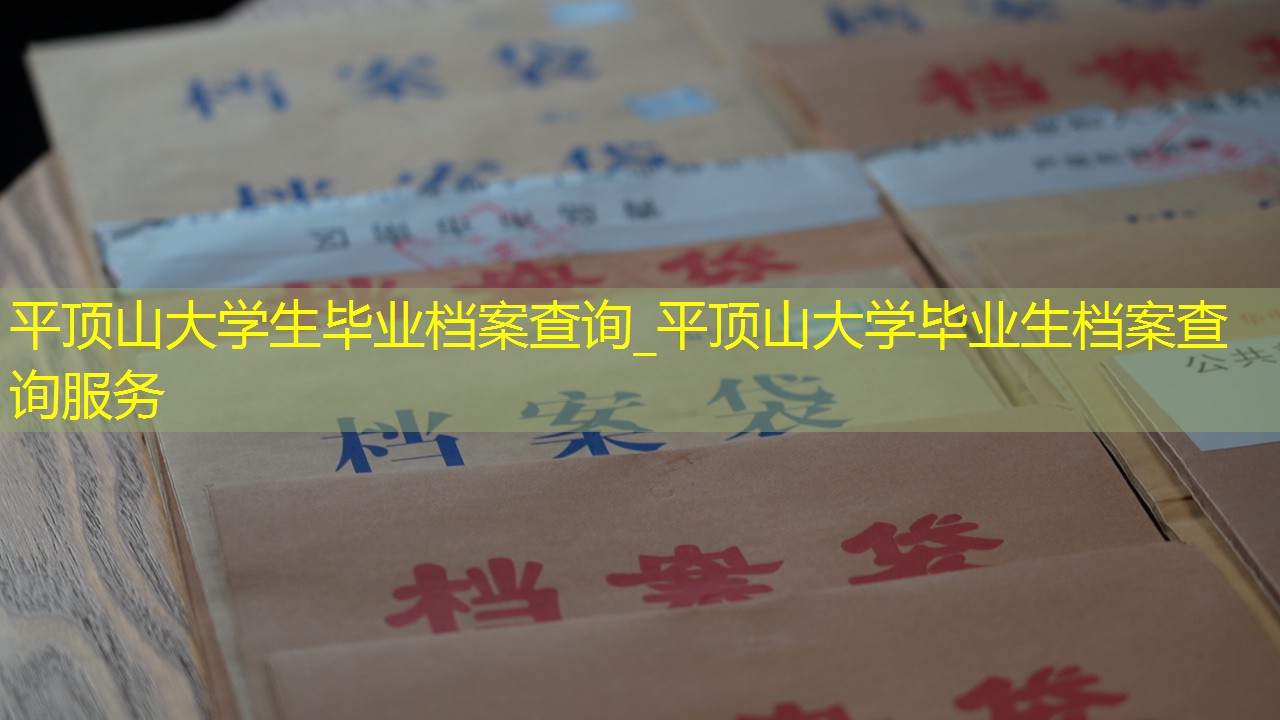 档案查询