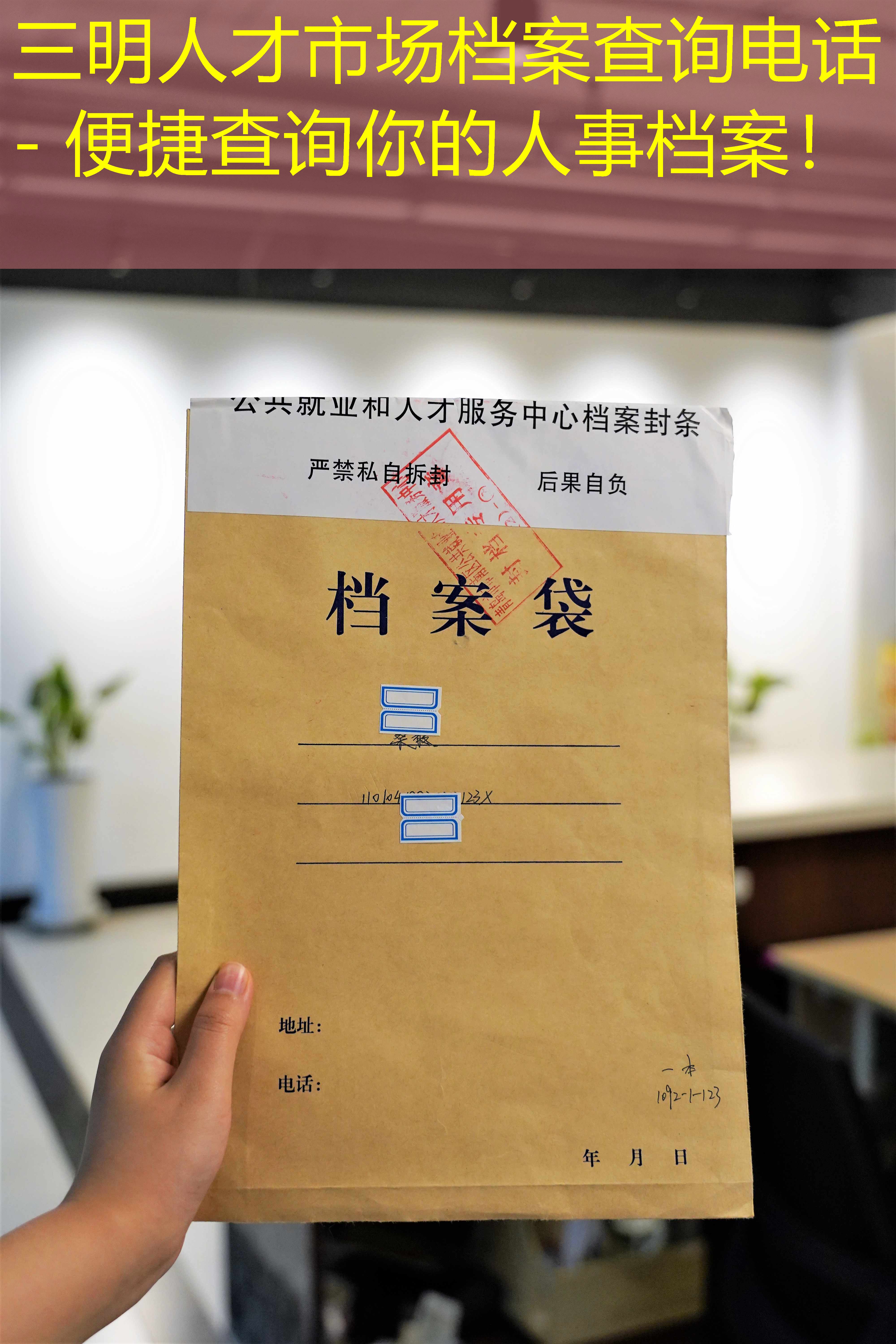 档案查询