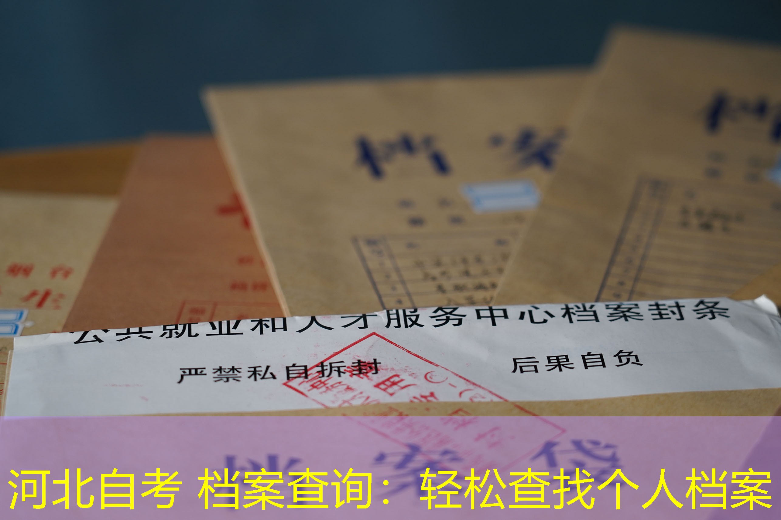 档案查询