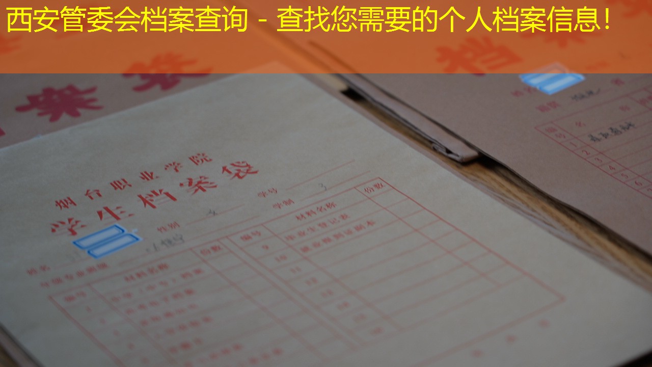 档案查询