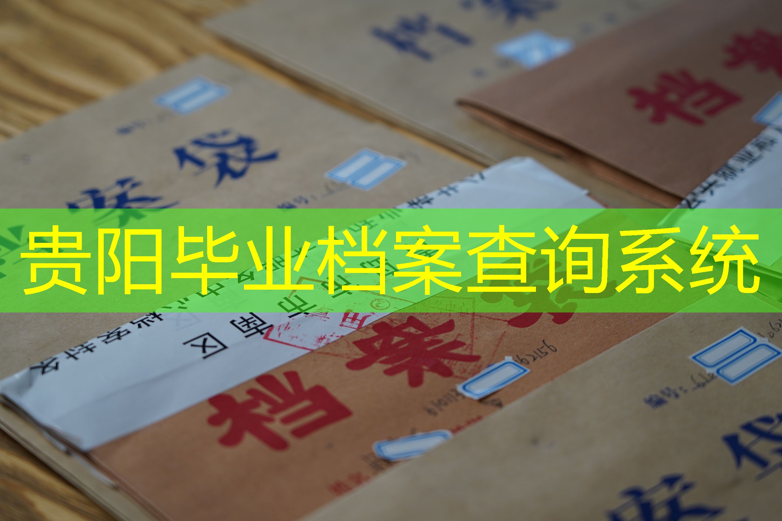 档案查询