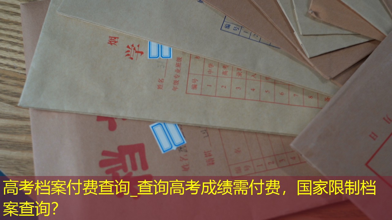 档案查询