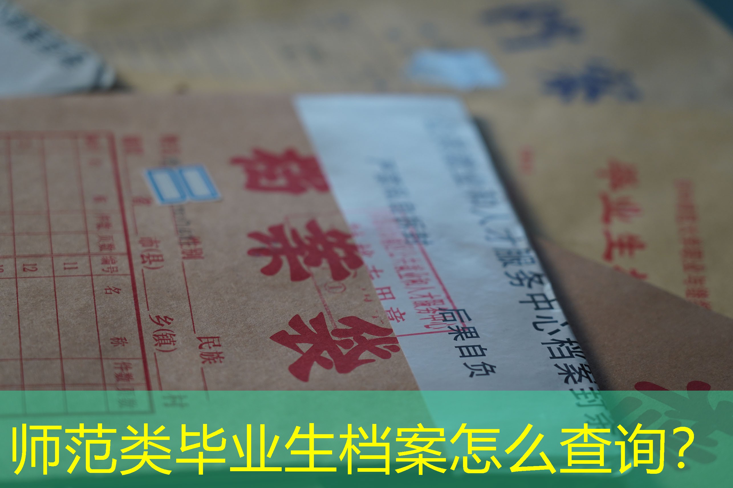 档案查询