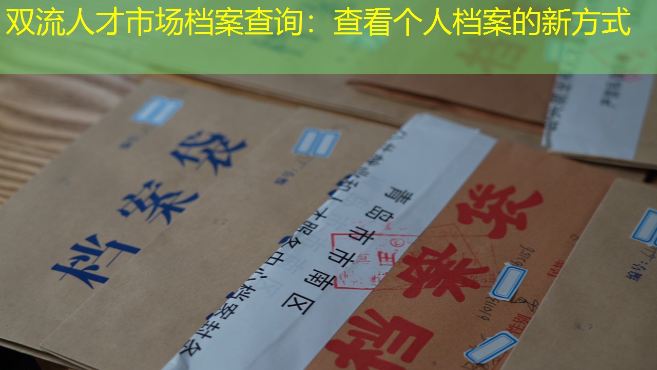 档案查询