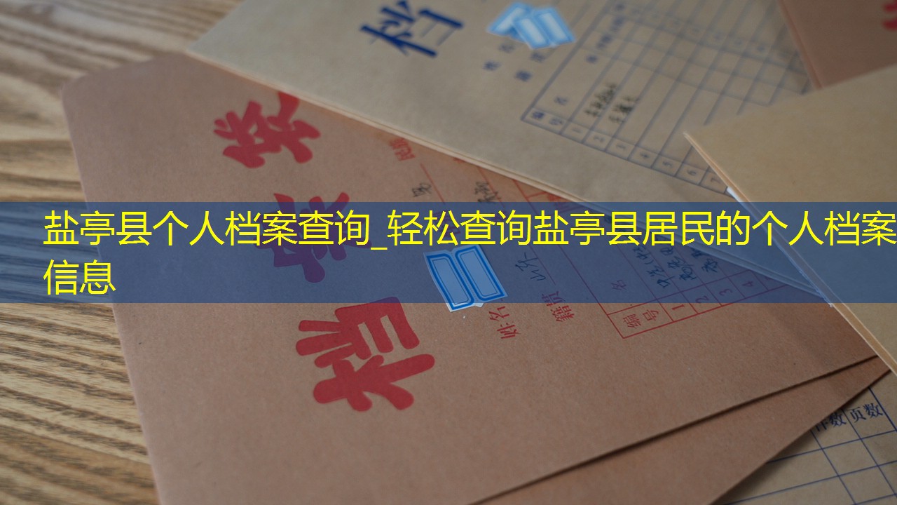档案查询