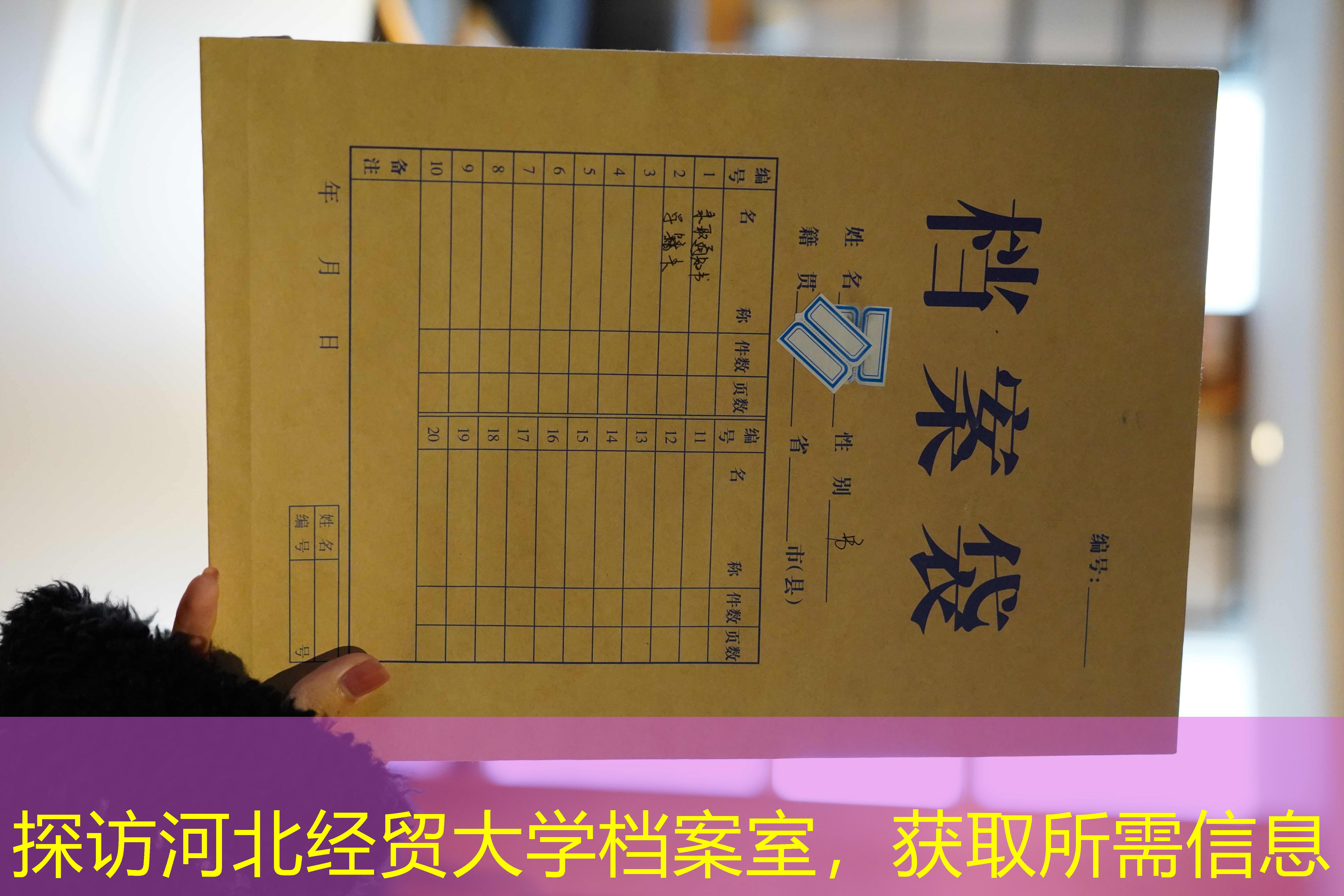 档案查询