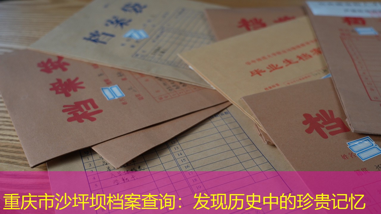 档案查询