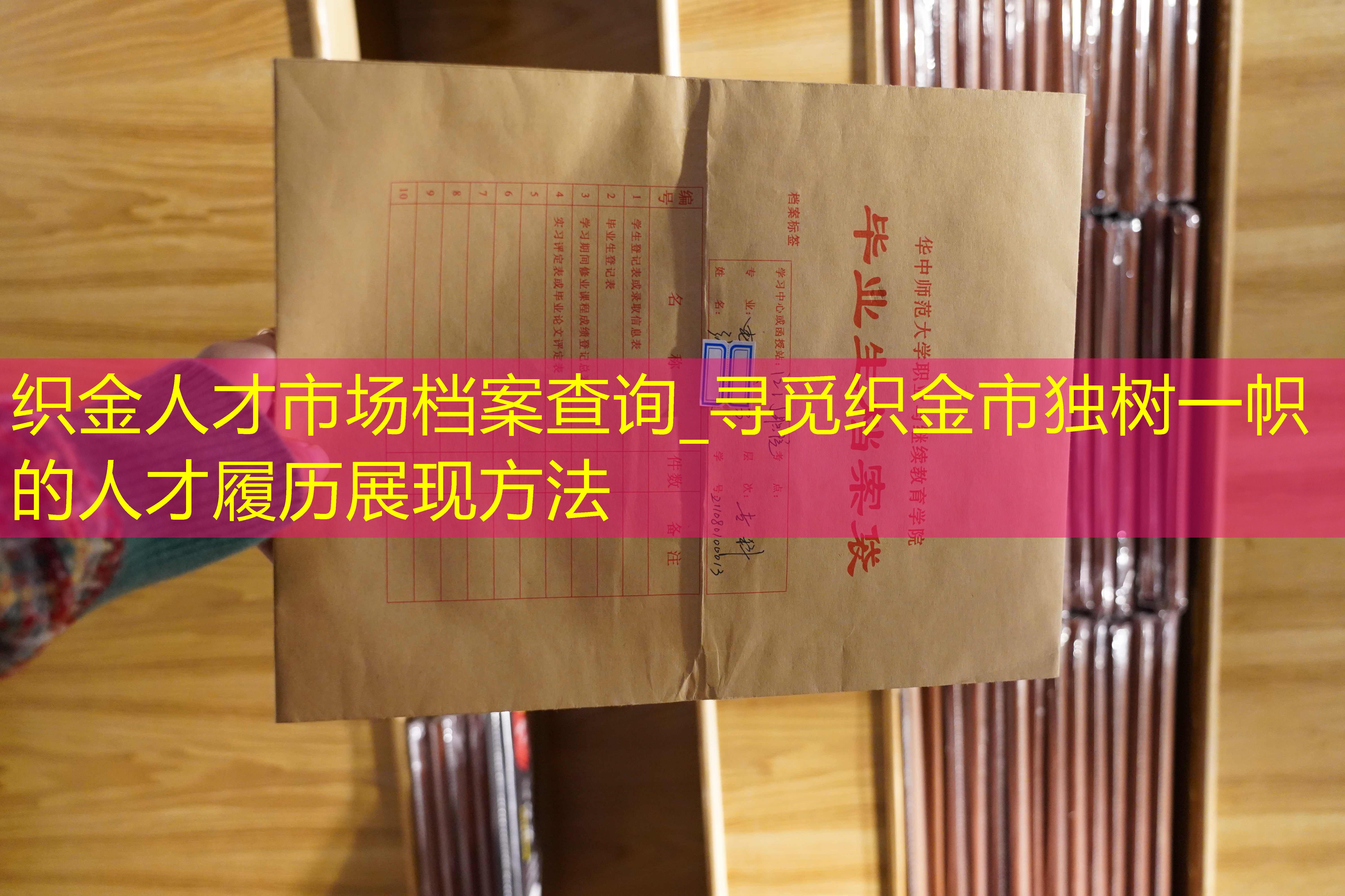 档案查询