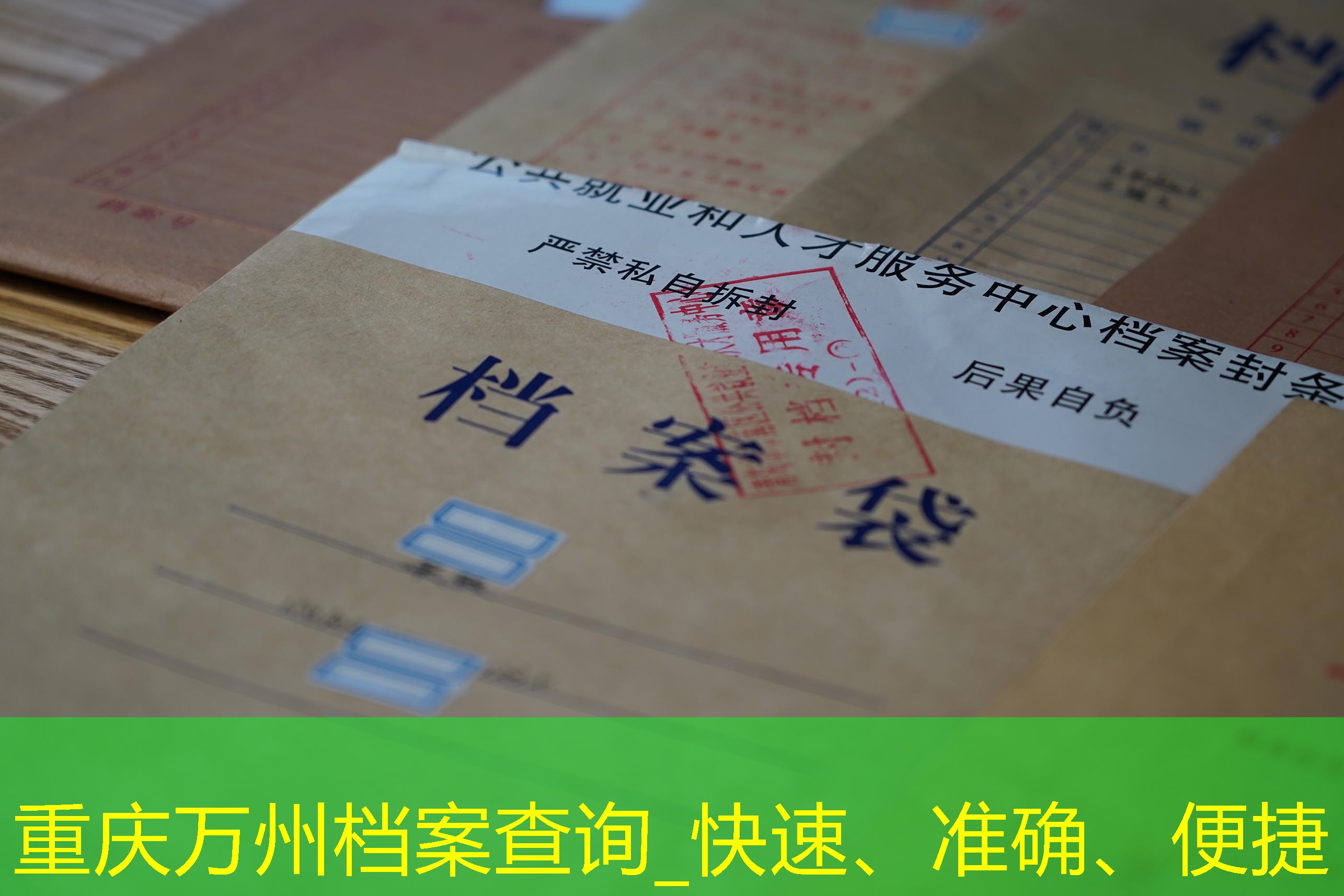 档案查询